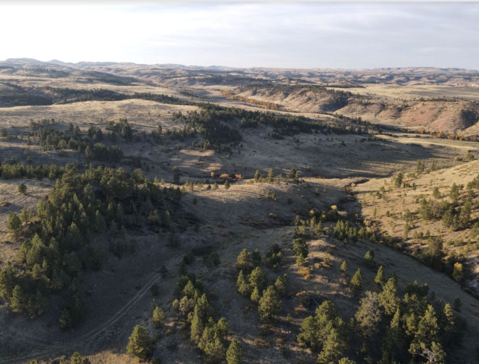 Gunnison, Gunnison County, CO Recreational Property, Undeveloped Land