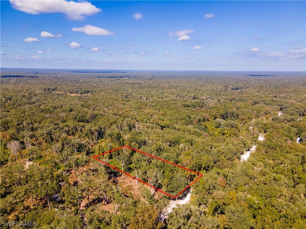 Old Town, Dixie County, FL Undeveloped Land, Lakefront Property