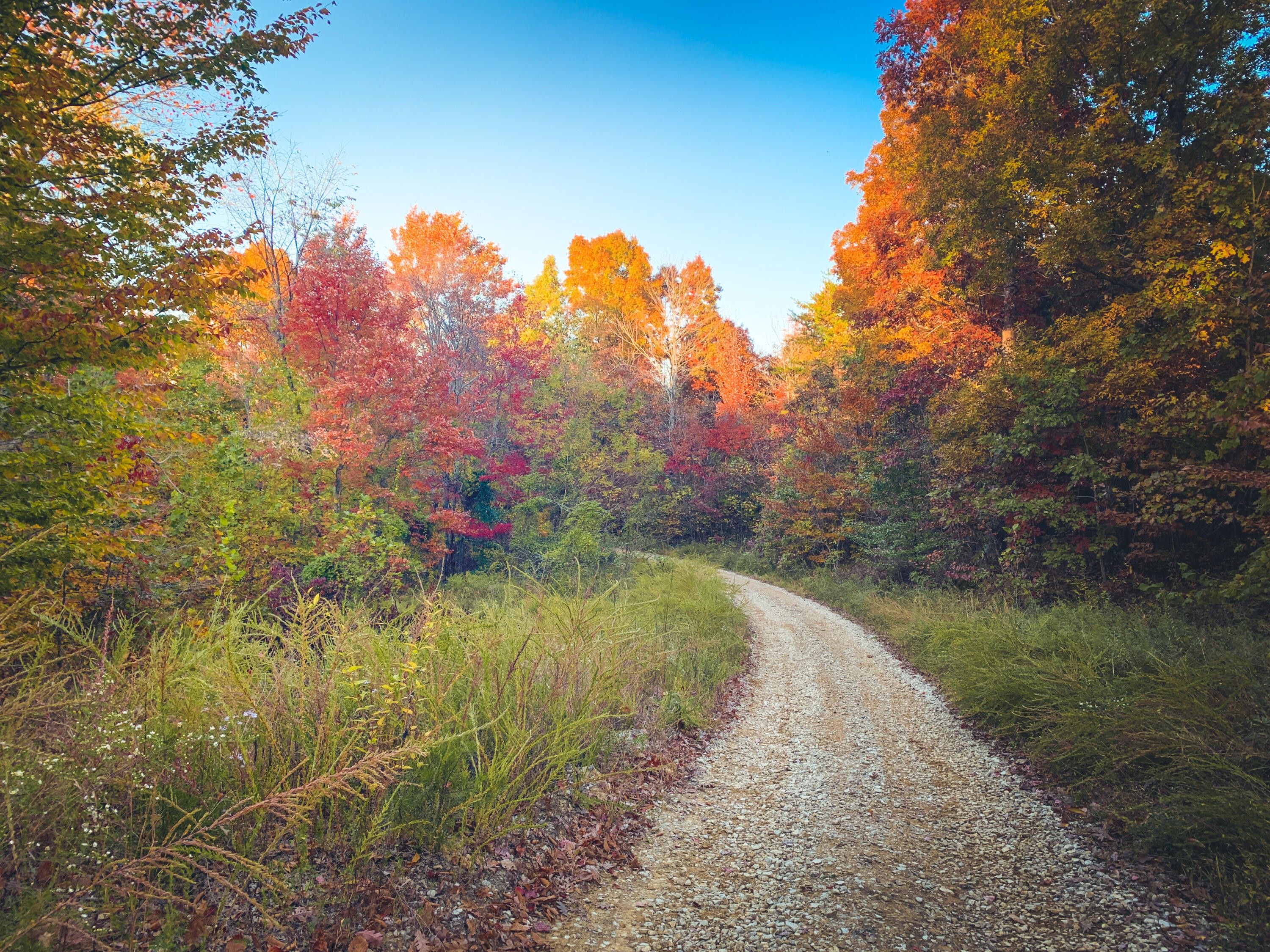South Shore, Greenup County, KY Farms and Ranches for sale Property ID