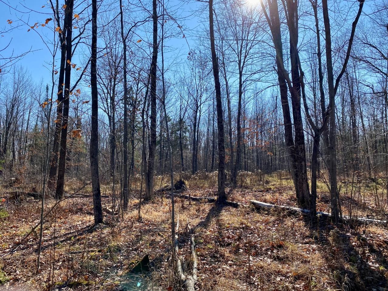 Prentice, Price County, WI Farms and Ranches for sale Property ID