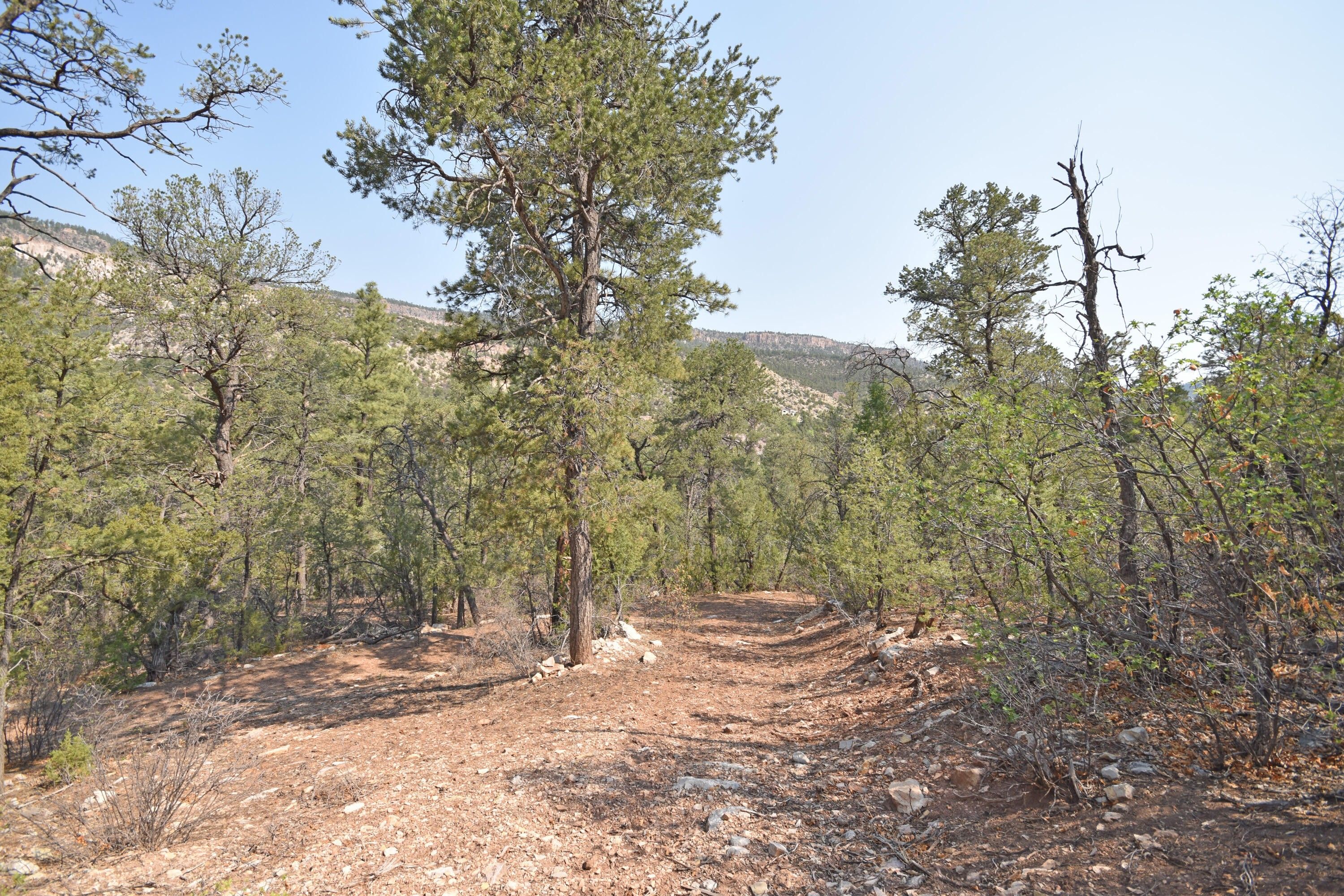 Jemez Springs, Sandoval County, NM Farms and Ranches, Homesites for