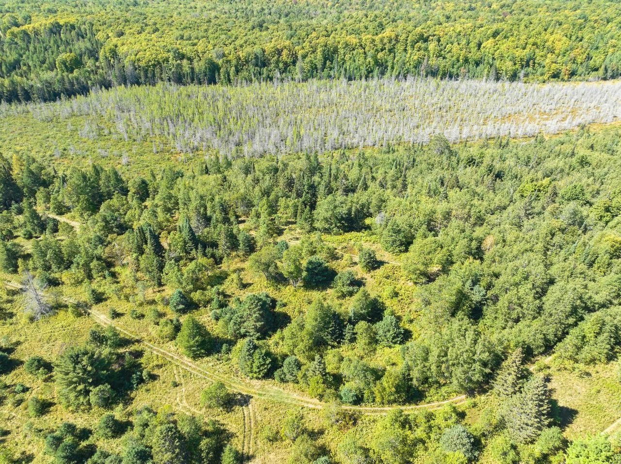 Phelps, Vilas County, WI Undeveloped Land for sale Property ID