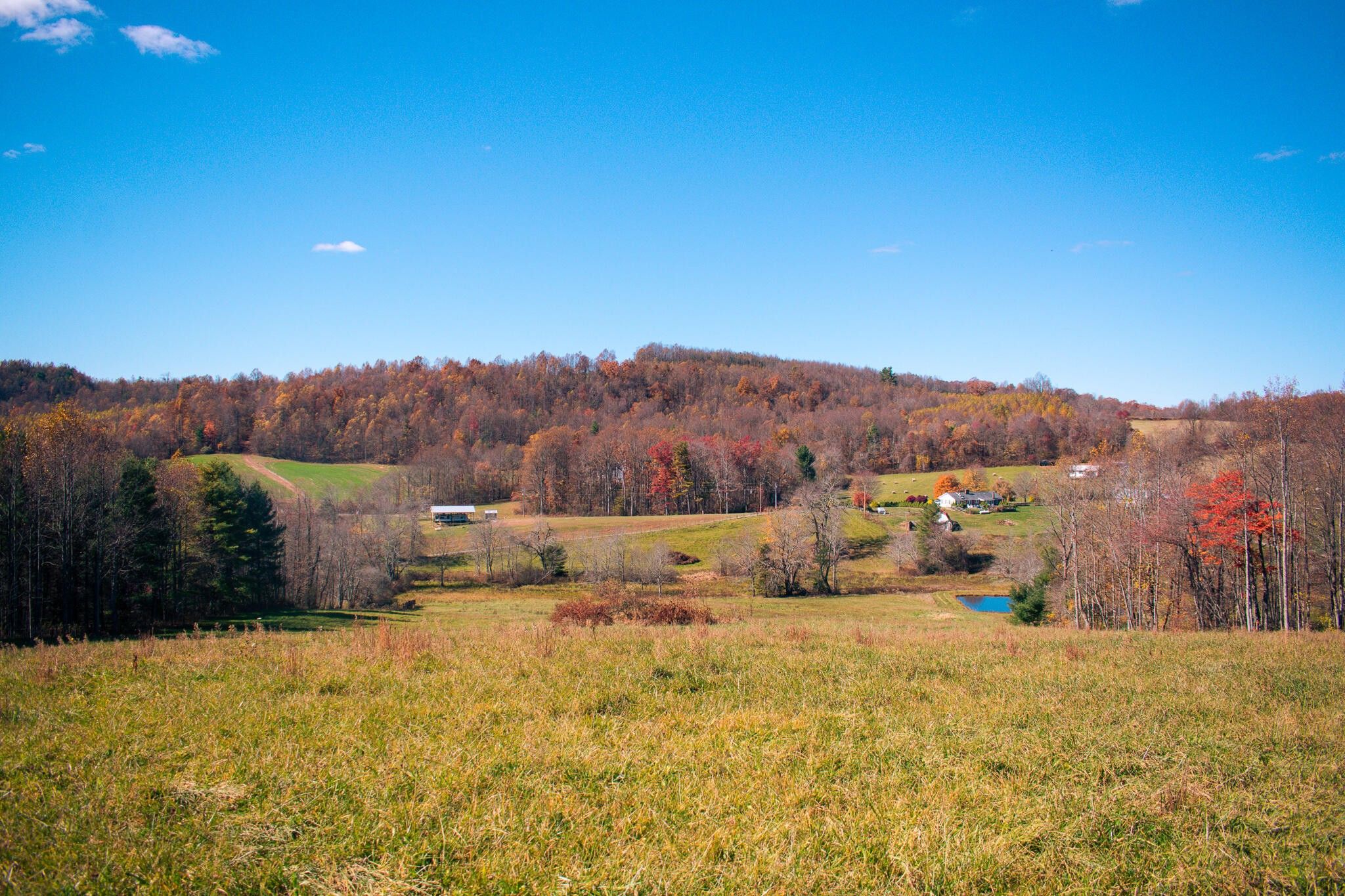 Laurel Fork, Carroll County, VA Farms and Ranches for sale Property ID