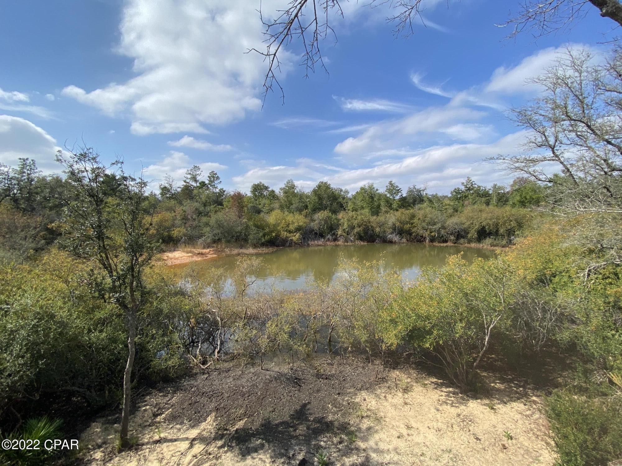 Fountain, Washington County, FL Undeveloped Land, Lakefront Property