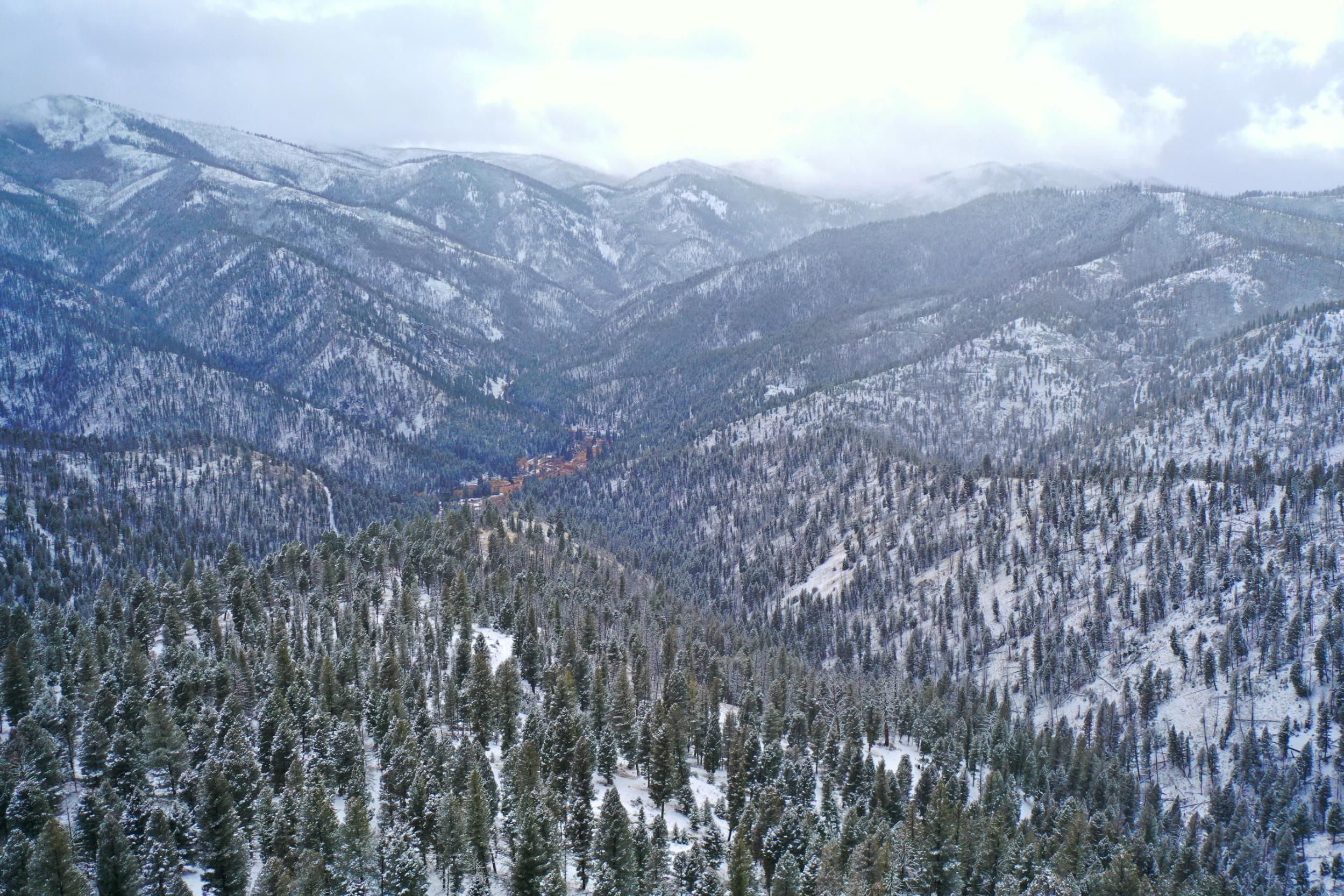 Salmon, Lemhi County, ID Recreational Property, Timberland Property