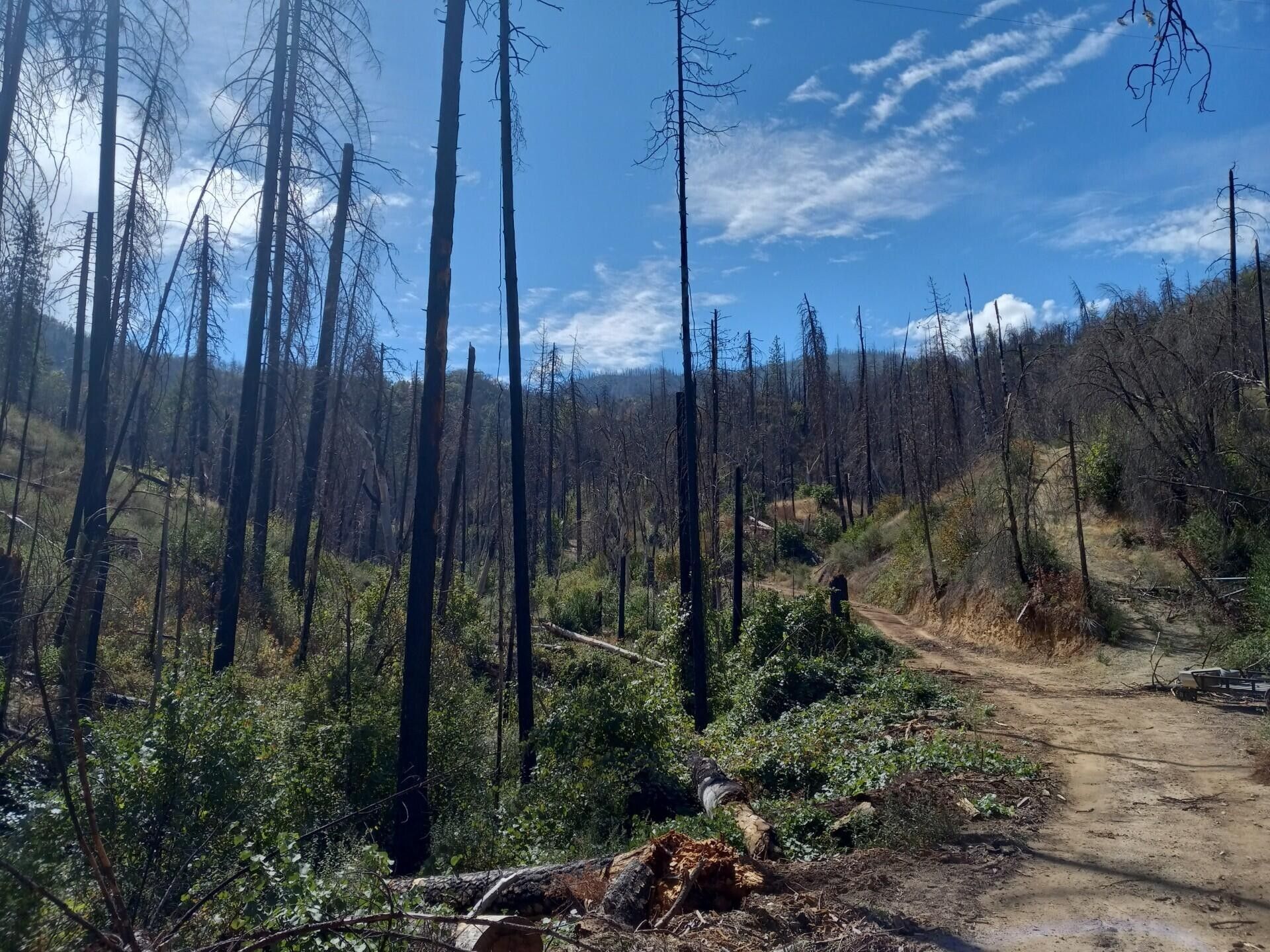 Shasta, Shasta County, CA Farms and Ranches for sale Property ID