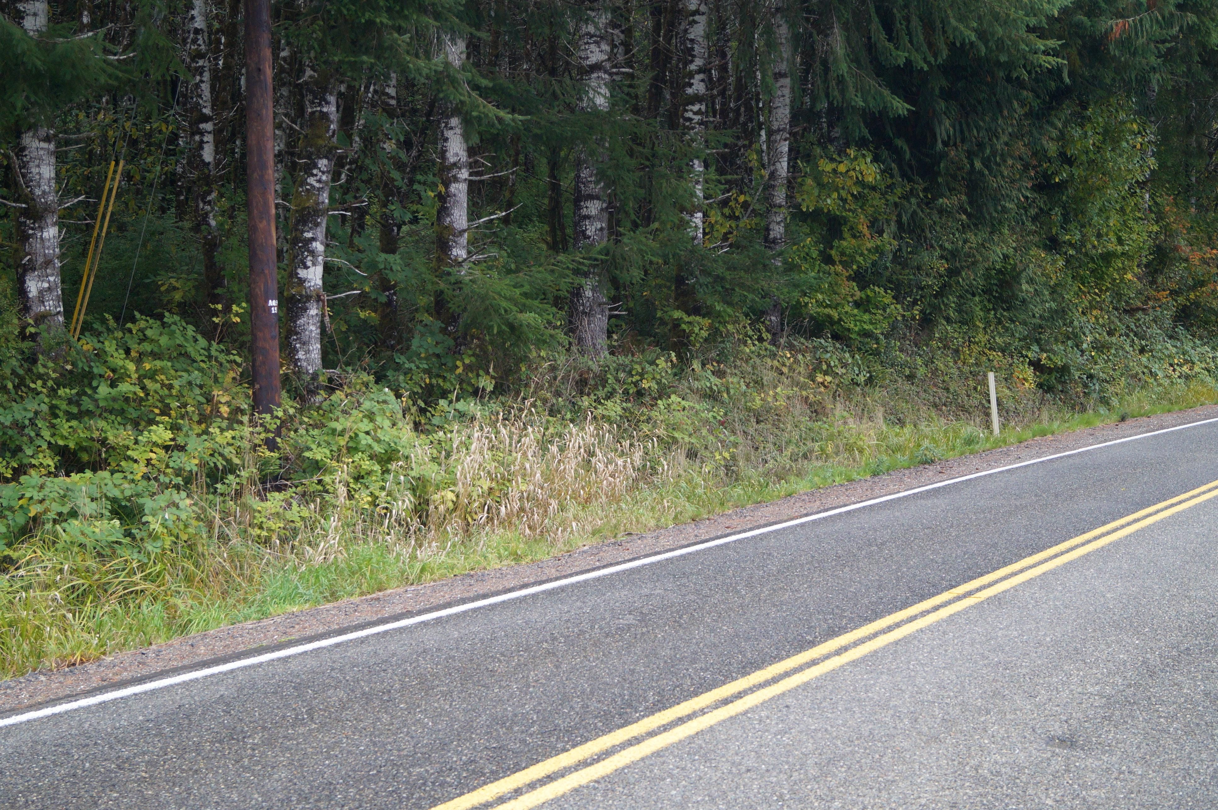 Hoquiam, Grays Harbor County, WA Timberland Property, Undeveloped Land