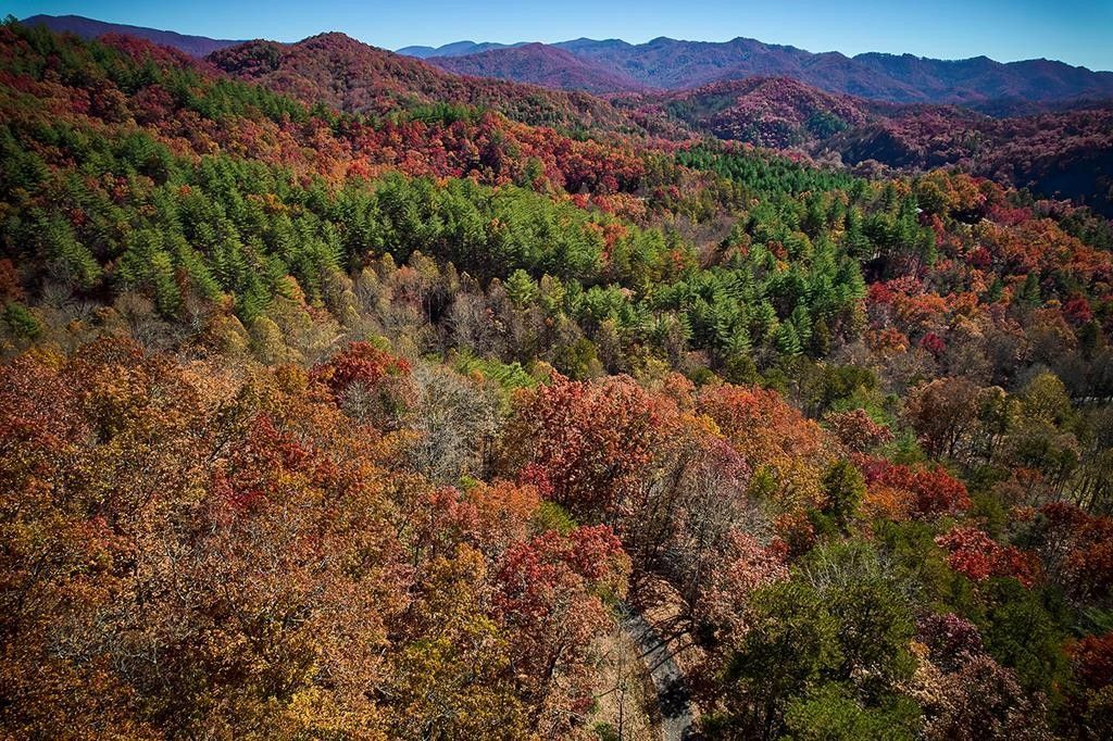 Bryson City, Swain County, NC Undeveloped Land for sale Property ID