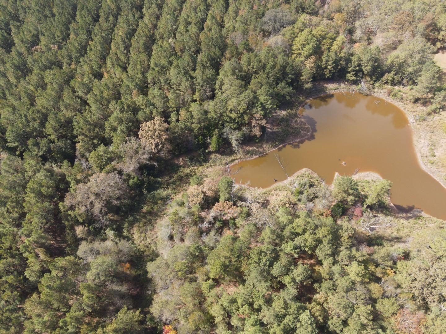 Brandon, Rankin County, MS Recreational Property, Timberland Property