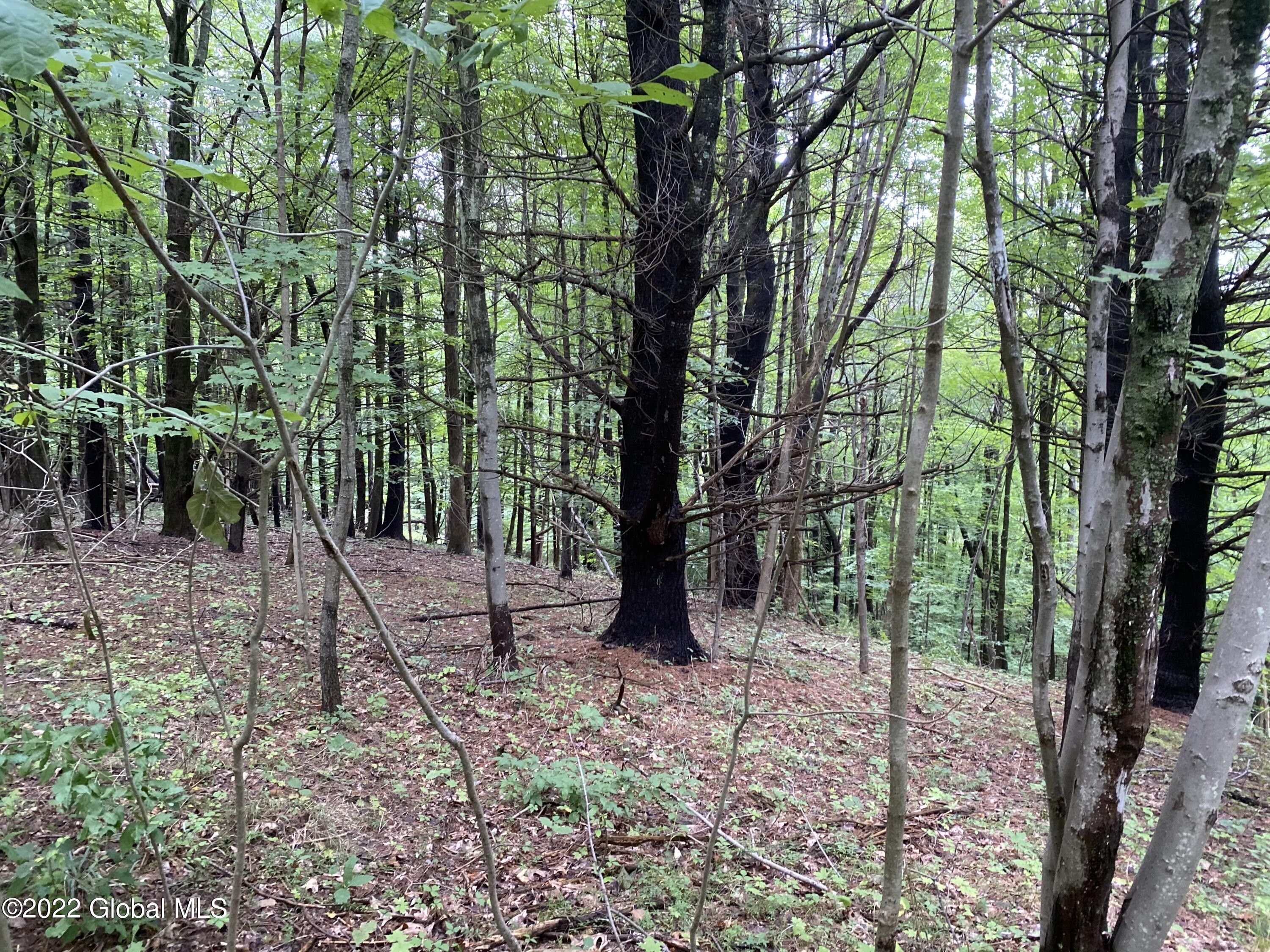 East Greenbush, Rensselaer County, NY Undeveloped Land for sale