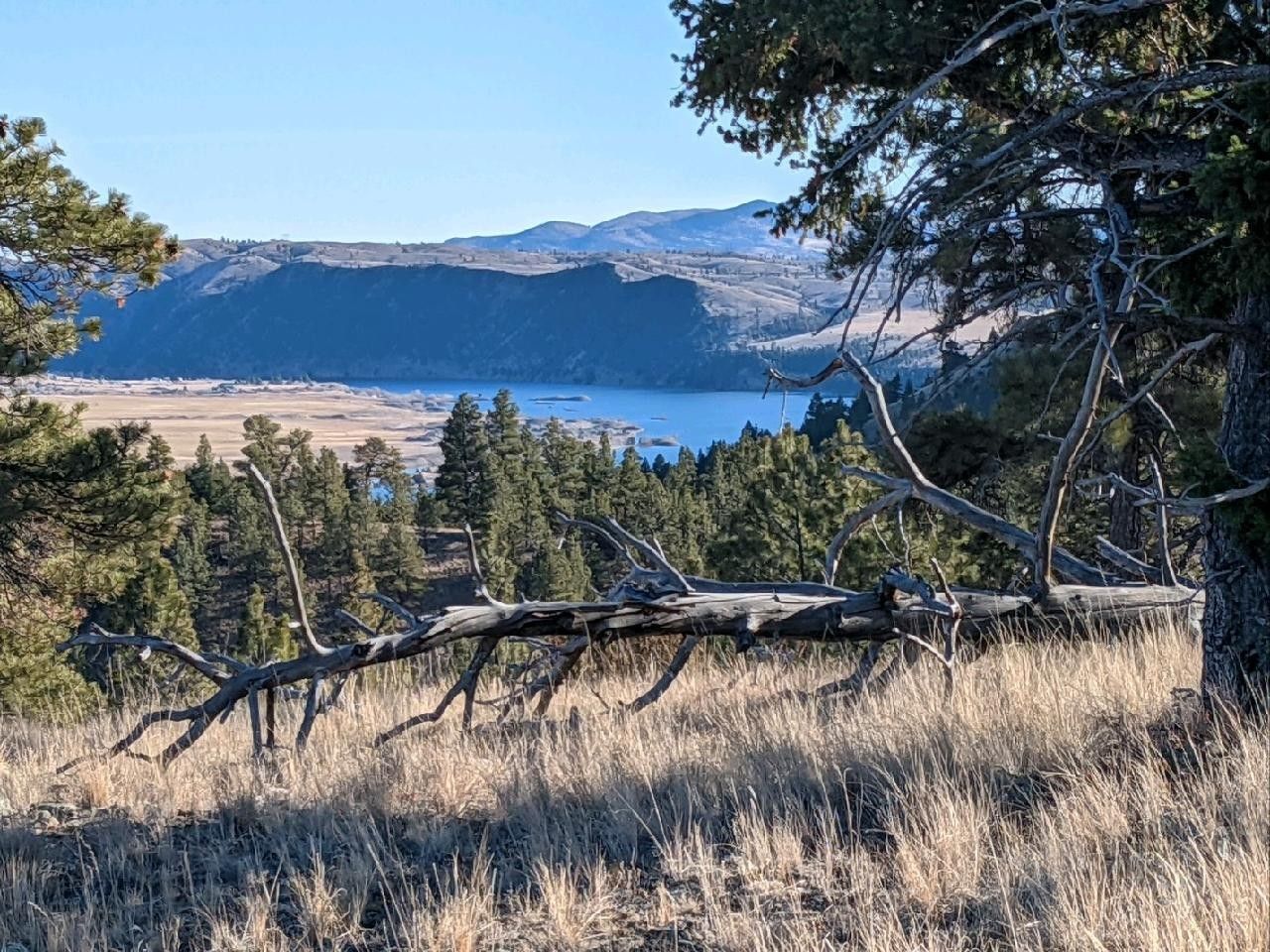 Helena, Lewis and Clark County, MT Undeveloped Land for sale Property