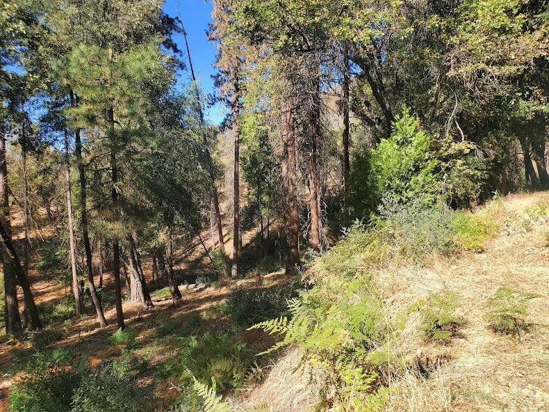 Miramonte, Fresno County, CA Undeveloped Land, Homesites for sale