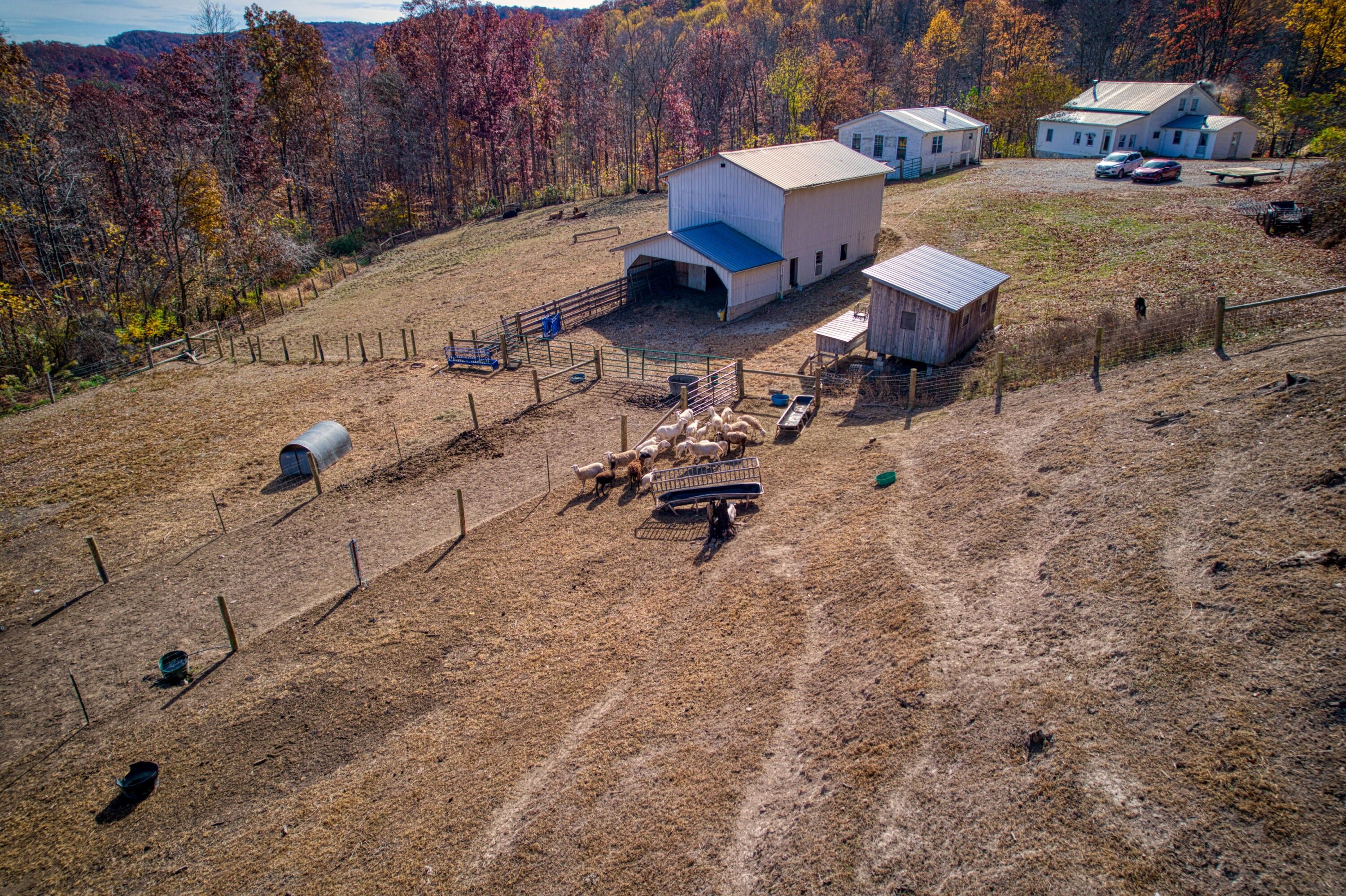 Hillsboro, Fleming County, KY House for sale Property ID 415181641