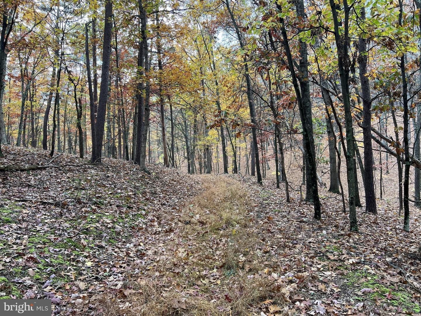 Burlington, Mineral County, WV Recreational Property, Hunting Property