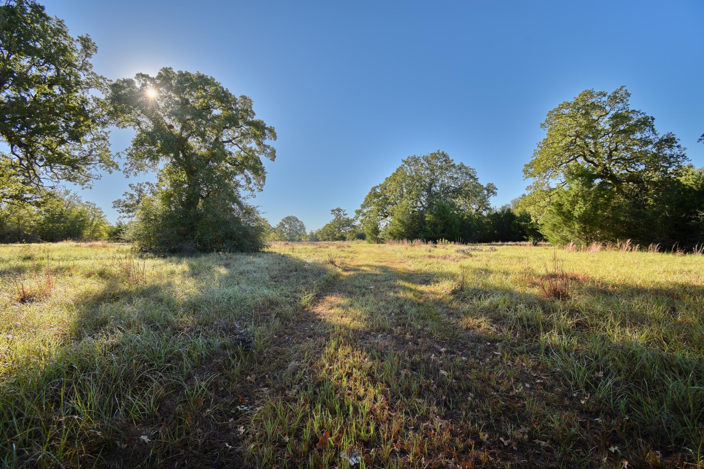 Ledbetter, Lee County, TX Recreational Property, Undeveloped Land for