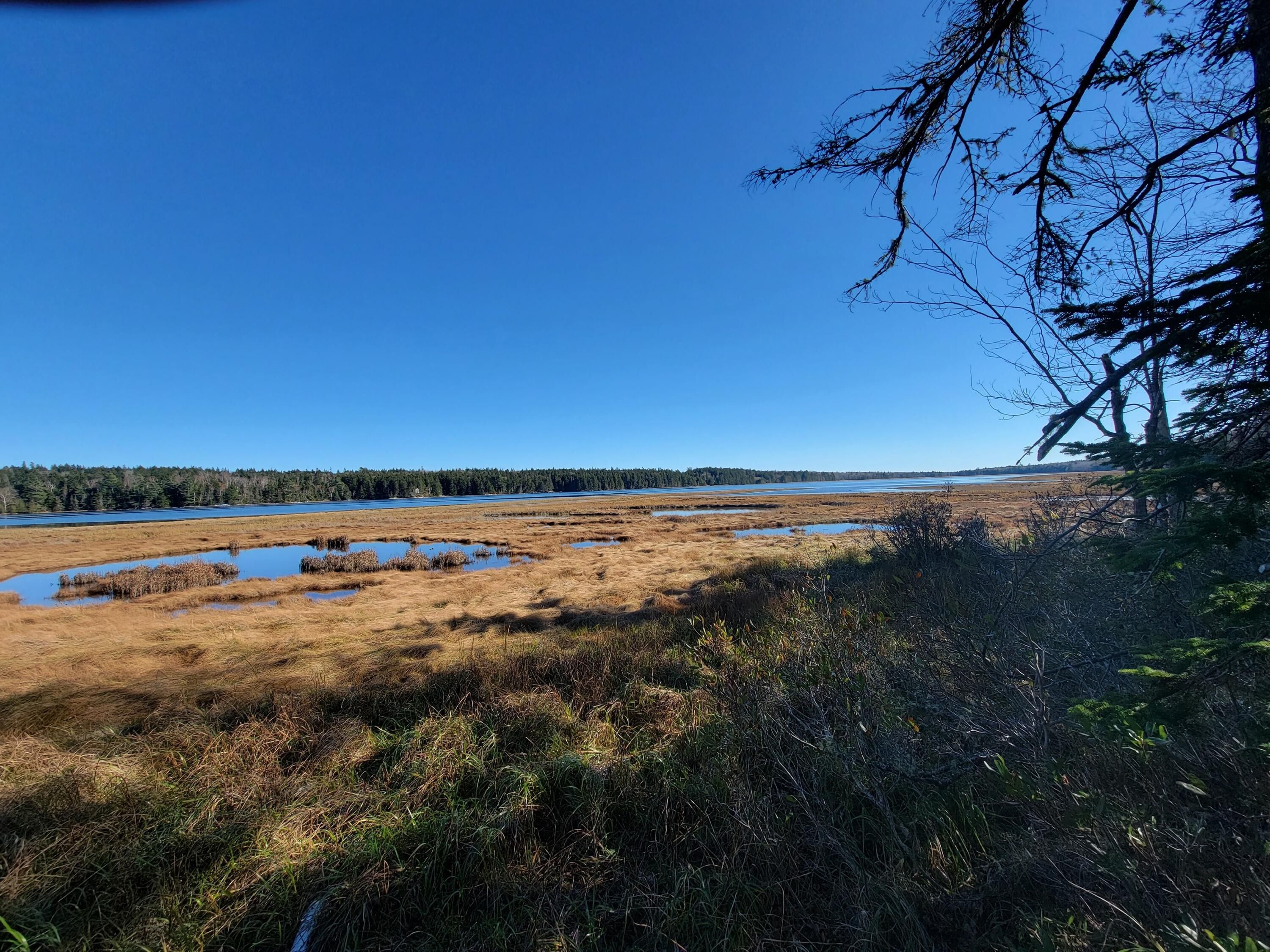 Gouldsboro, Hancock County, ME Lakefront Property, Waterfront Property
