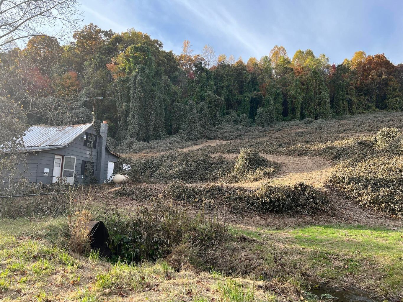 Greeneville, Greene County, TN House for sale Property ID 415183341