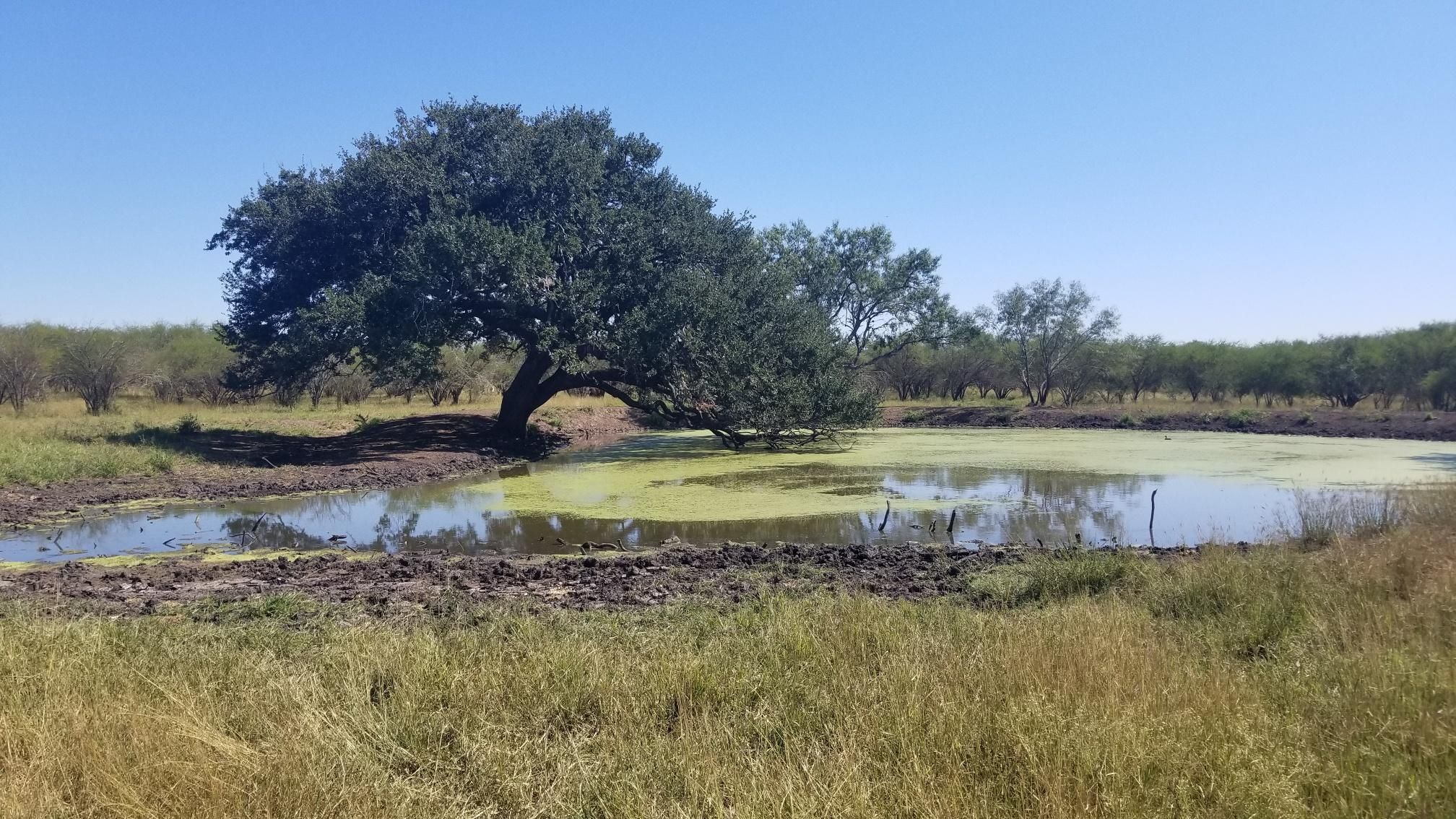 Beeville, Bee County, TX Farms and Ranches, Recreational Property for