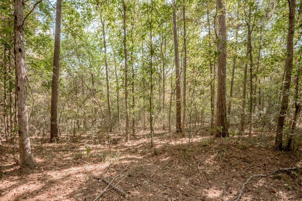Douglass, Nacogdoches County, TX Undeveloped Land for sale Property ID