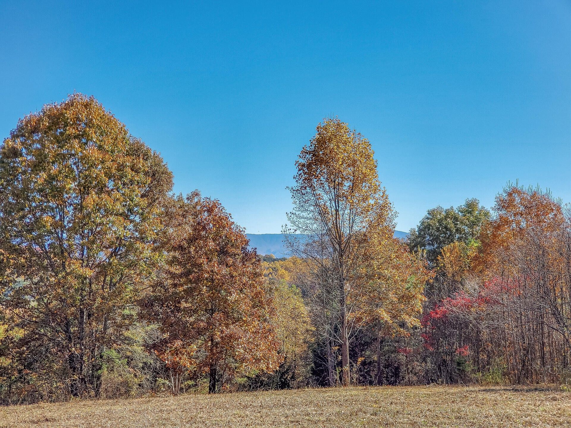 Greeneville, Greene County, TN Undeveloped Land for sale Property ID