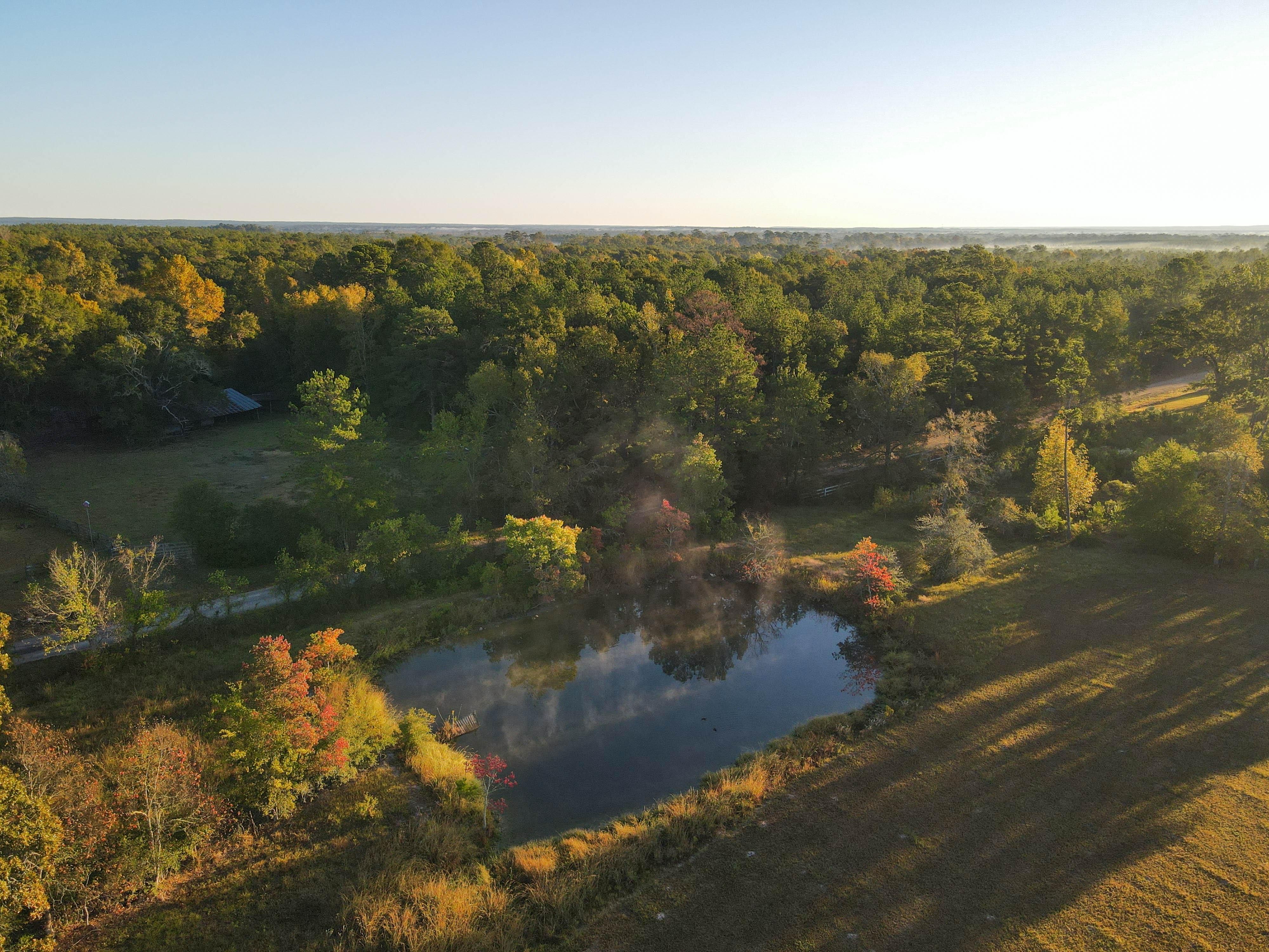Colmesneil, Tyler County, TX Farms and Ranches, Recreational Property