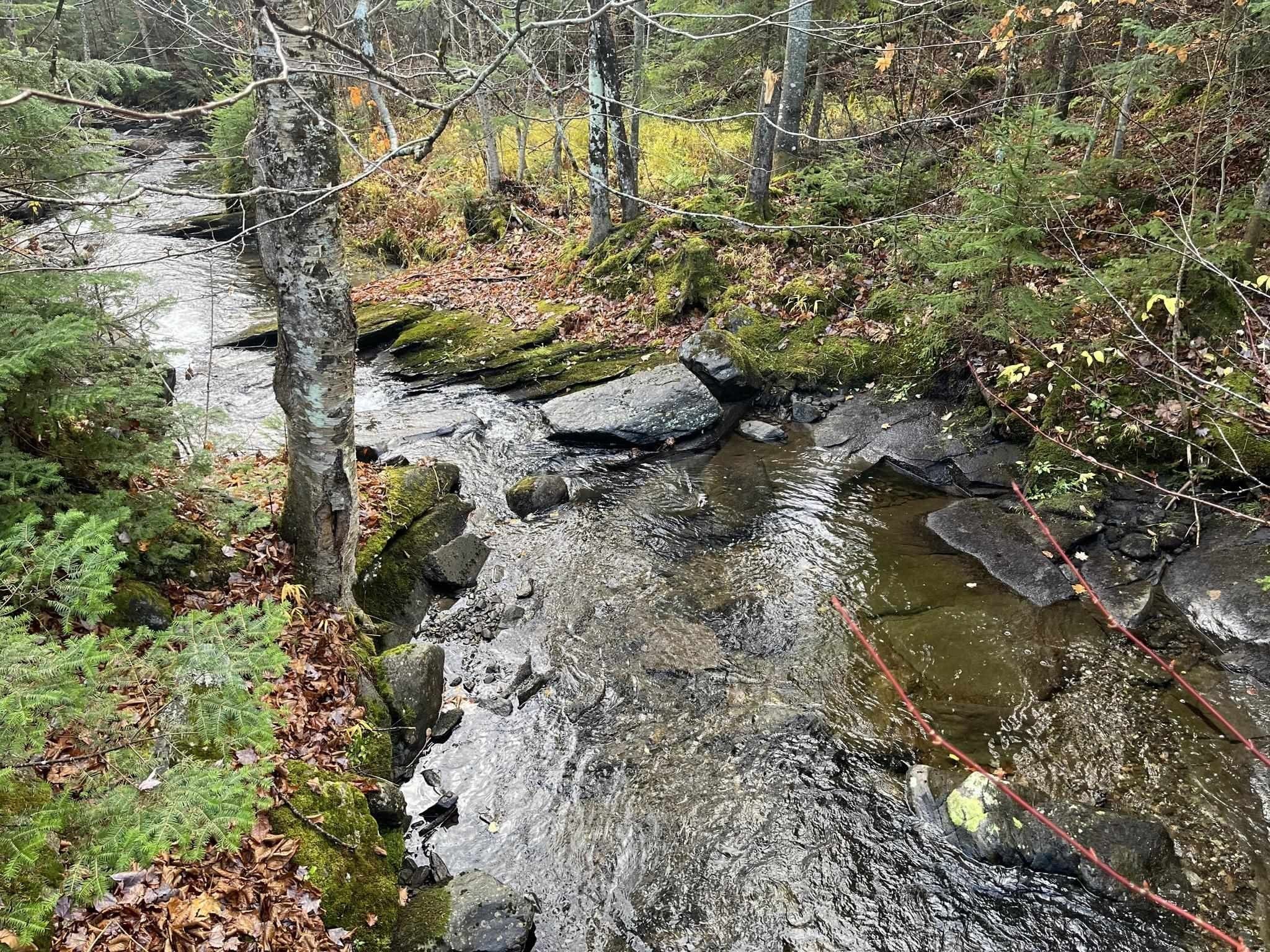 Averill, Essex County, VT Undeveloped Land for sale Property ID