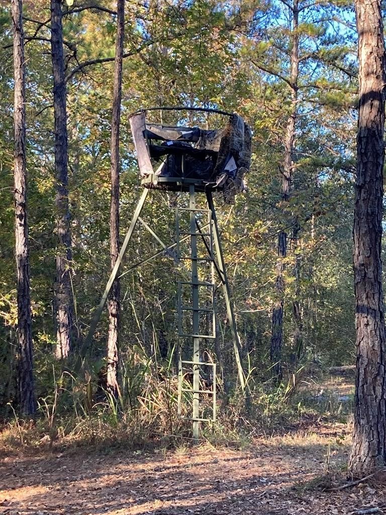 Preston, ster County, GA Undeveloped Land for sale Property ID