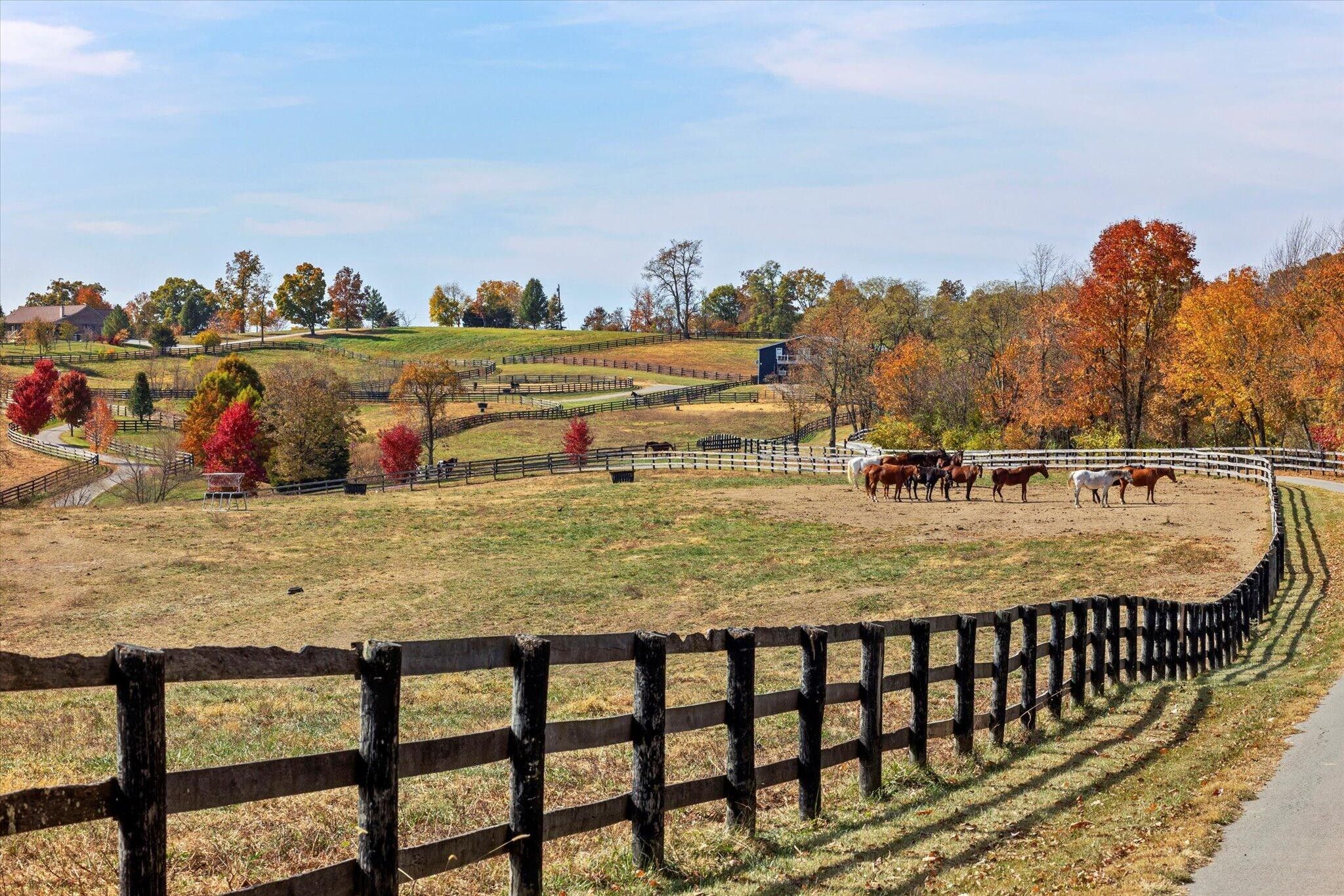 Stamping Ground, Scott County, KY Farms and Ranches, House for sale