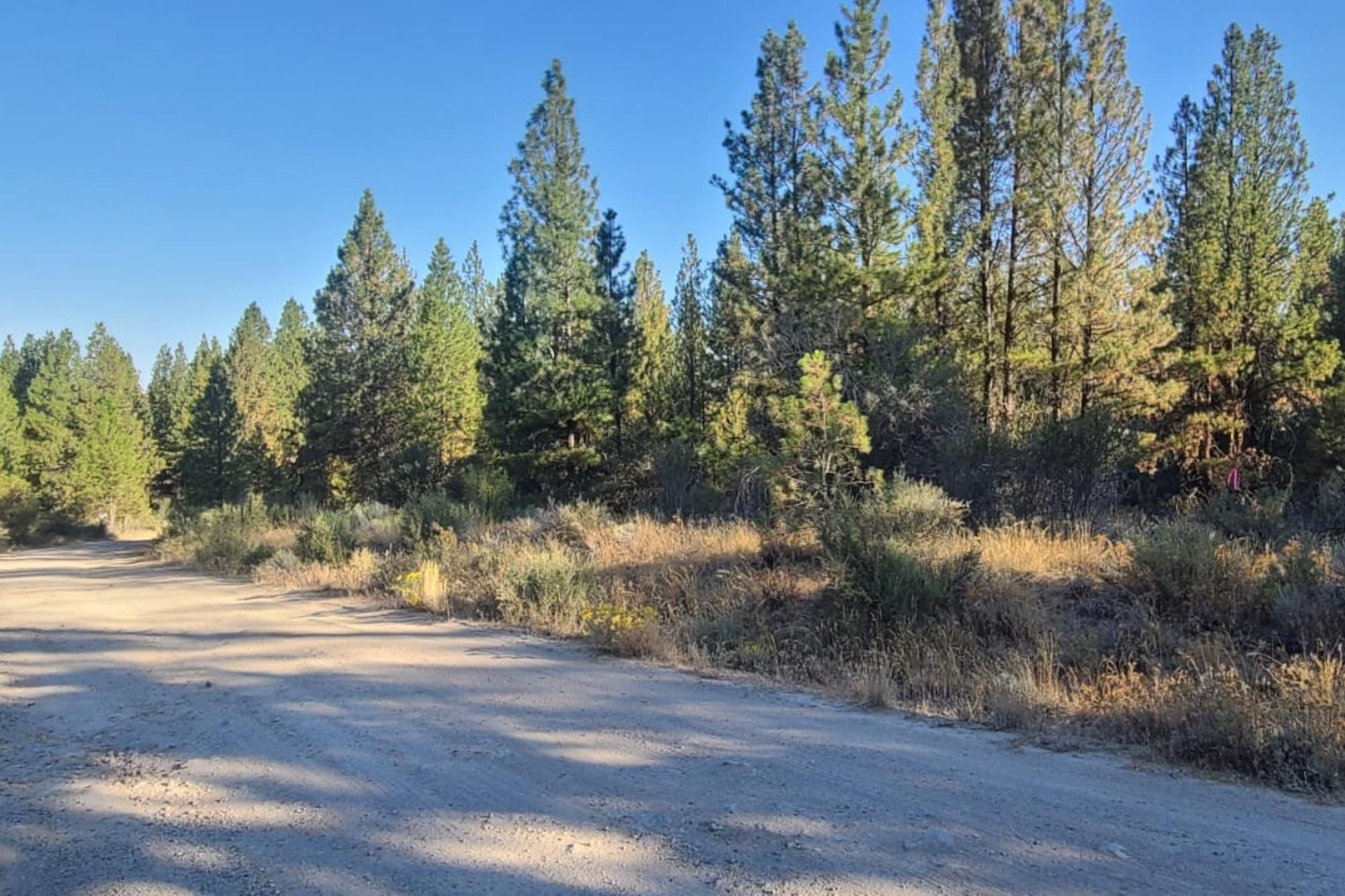 1.65 acres in Bonanza, OR, 97623 LandWatch