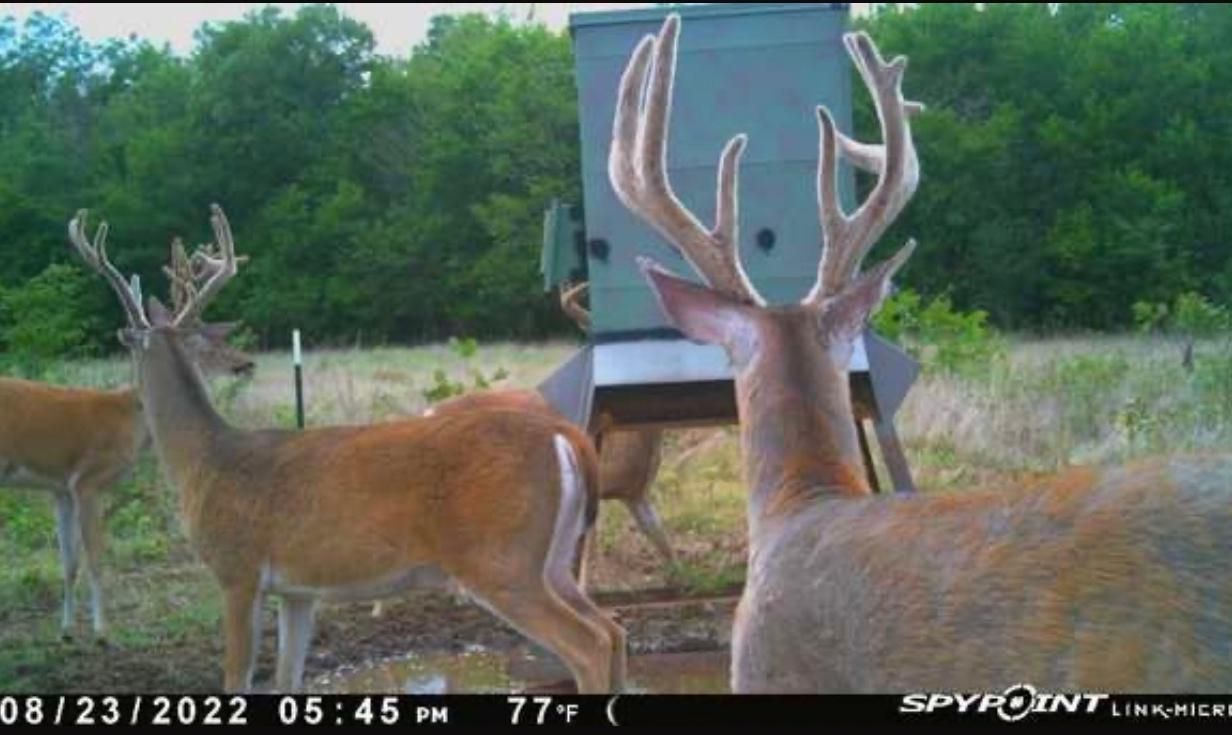 Long Hollow Rd, Burneyville, OK 73430 LandWatch