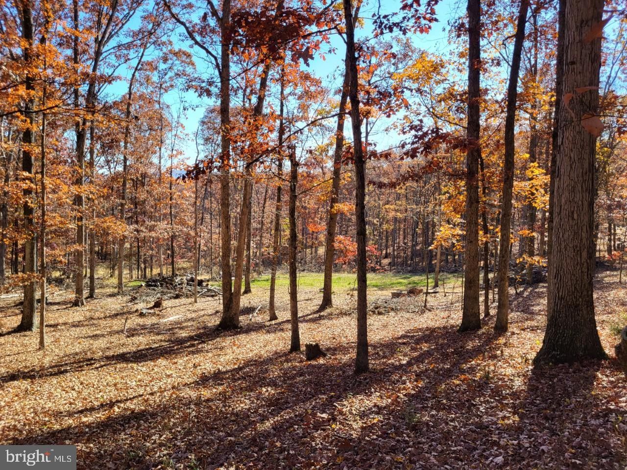 Springfield, Hampshire County, WV Undeveloped Land, Homesites for sale