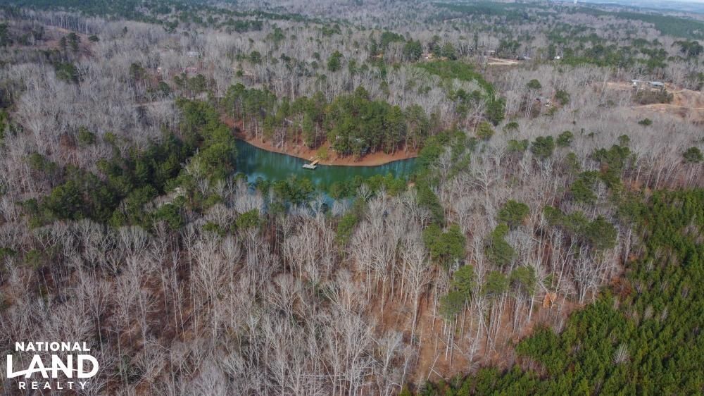 Valley Grande, Dallas County, AL Recreational Property, Timberland