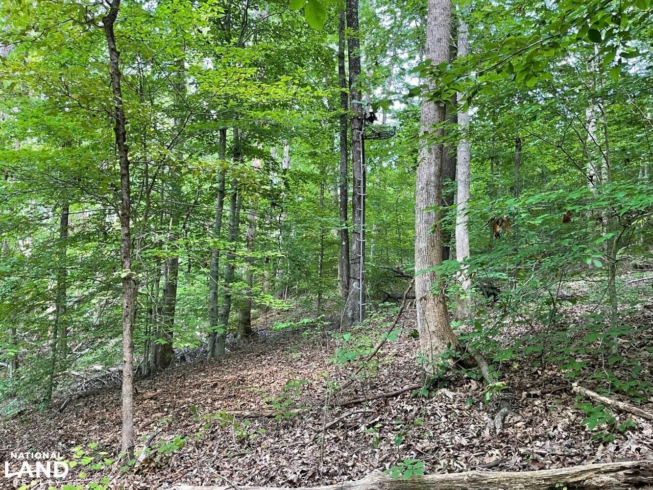 Booneville, Prentiss County, MS Recreational Property, Timberland Property, Hunting Property for