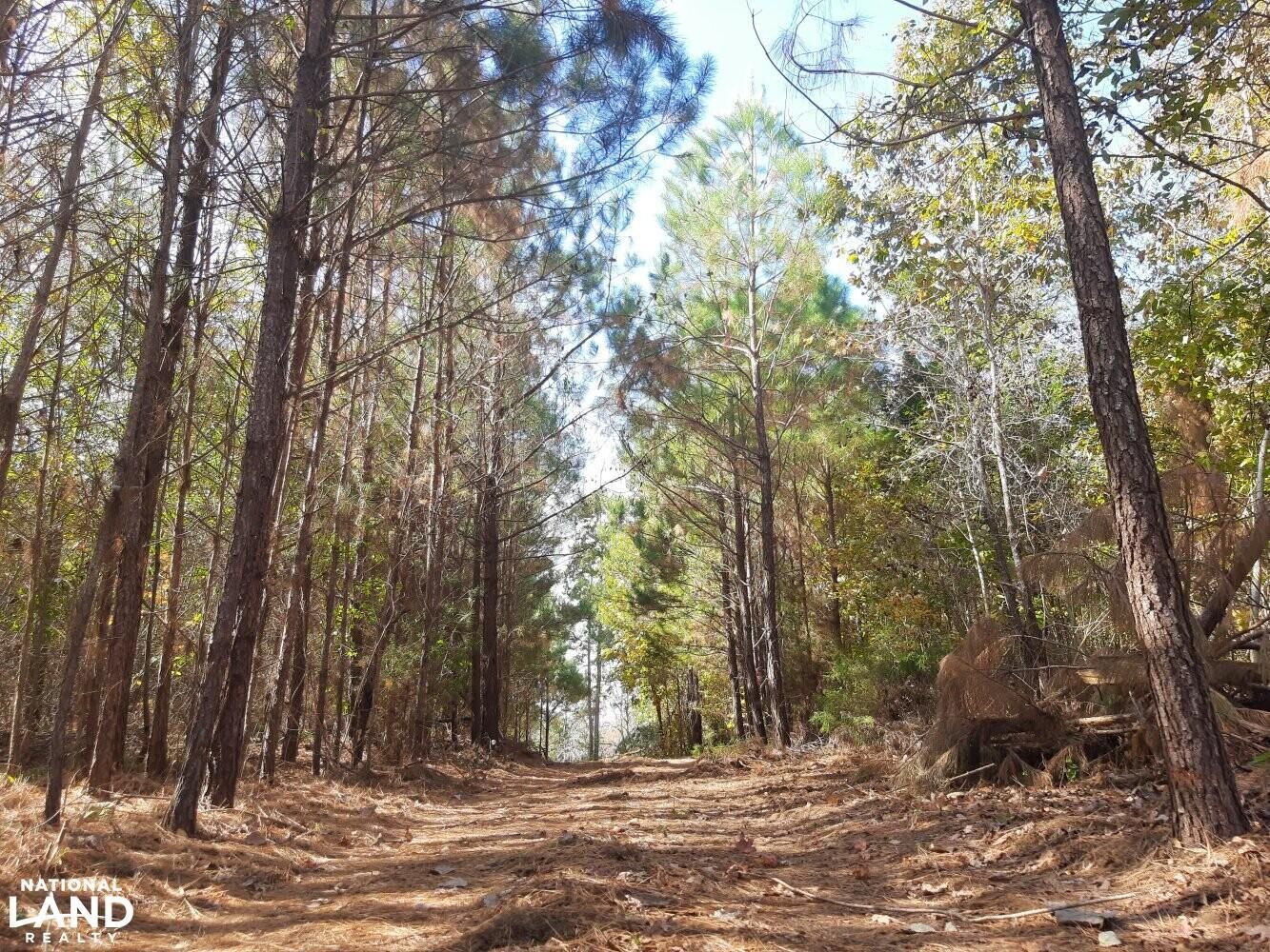 Letohatchee, Montgomery County, AL Timberland Property, Undeveloped