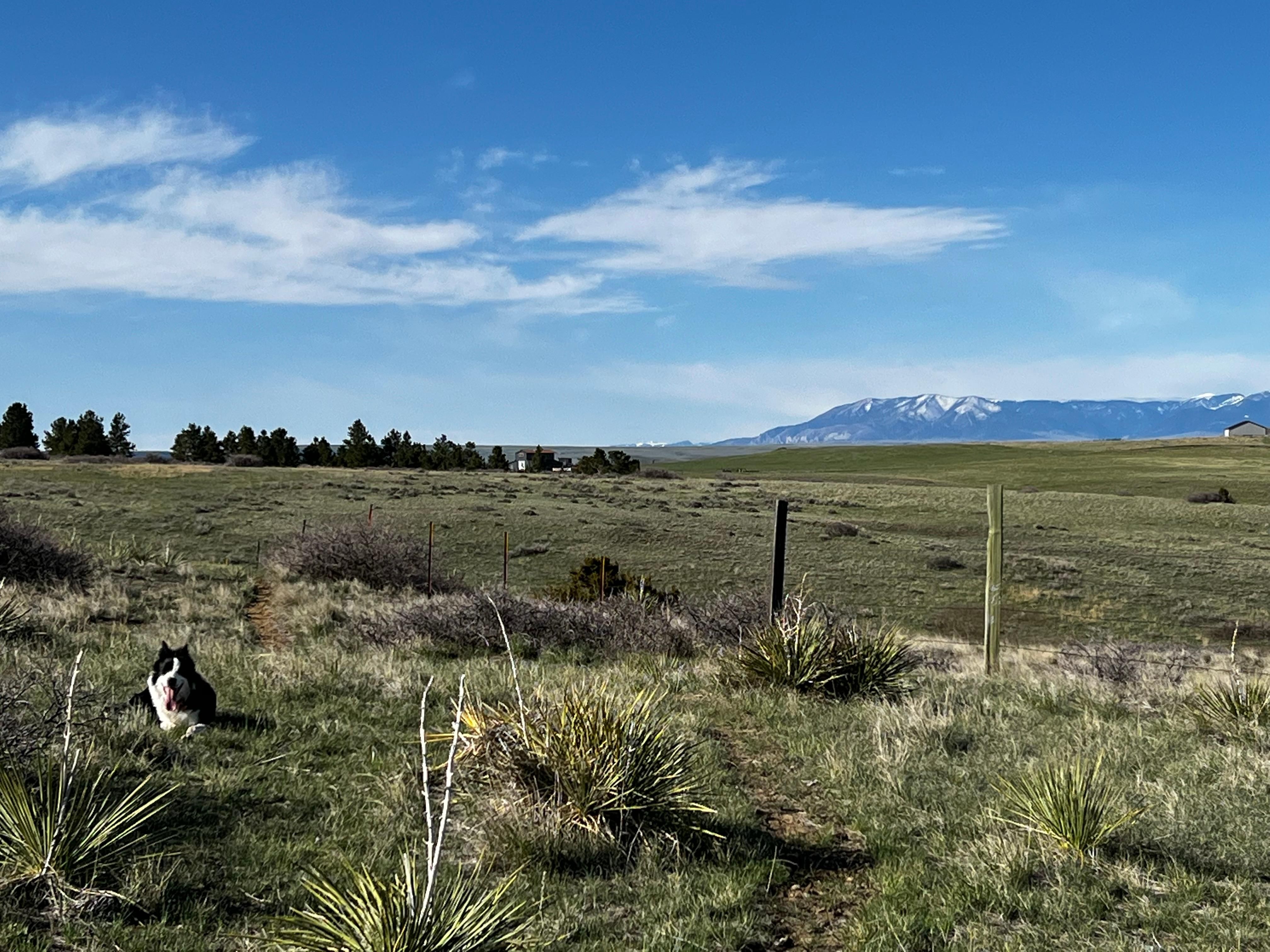 Joliet, Carbon County, MT Undeveloped Land, Horse Property for sale