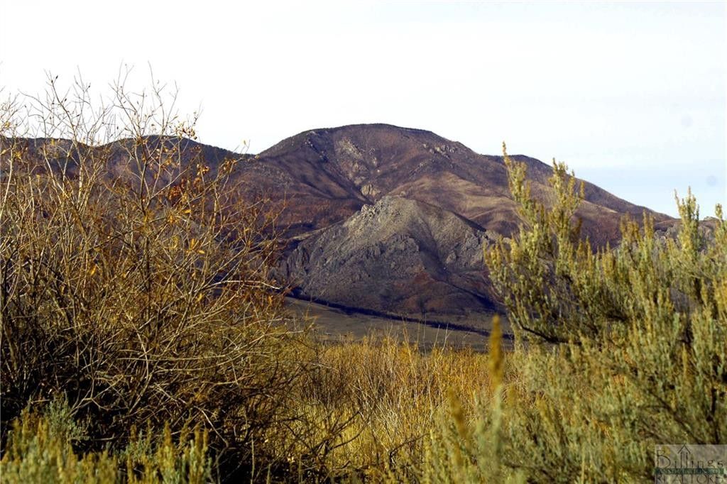 Belfry, Carbon County, MT Undeveloped Land for sale Property ID