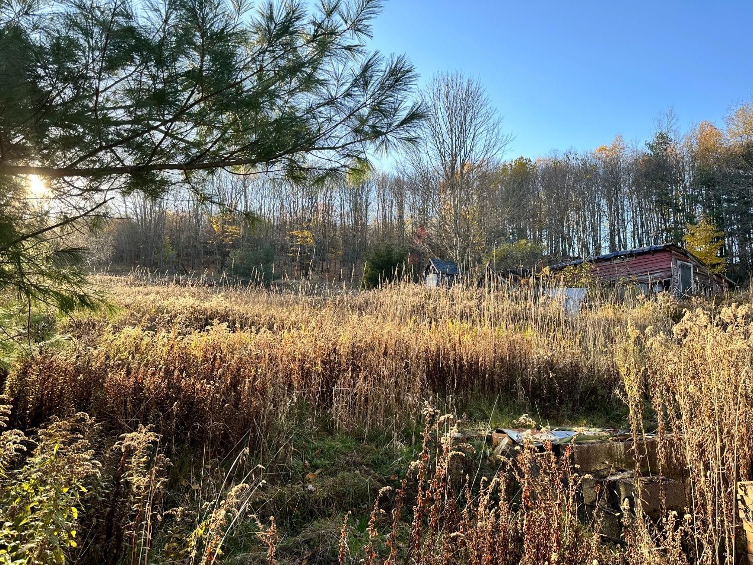Walton, Delaware County, NY Undeveloped Land for sale Property ID