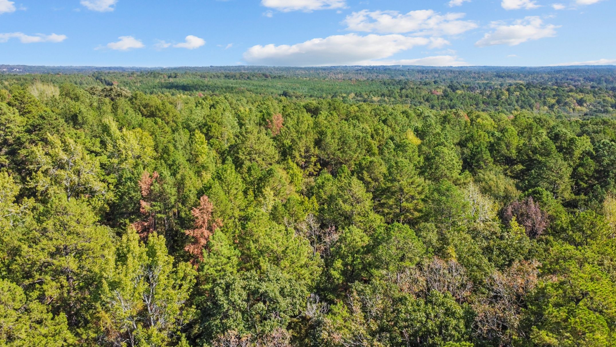 Elkhart, Anderson County, TX Undeveloped Land for sale Property ID