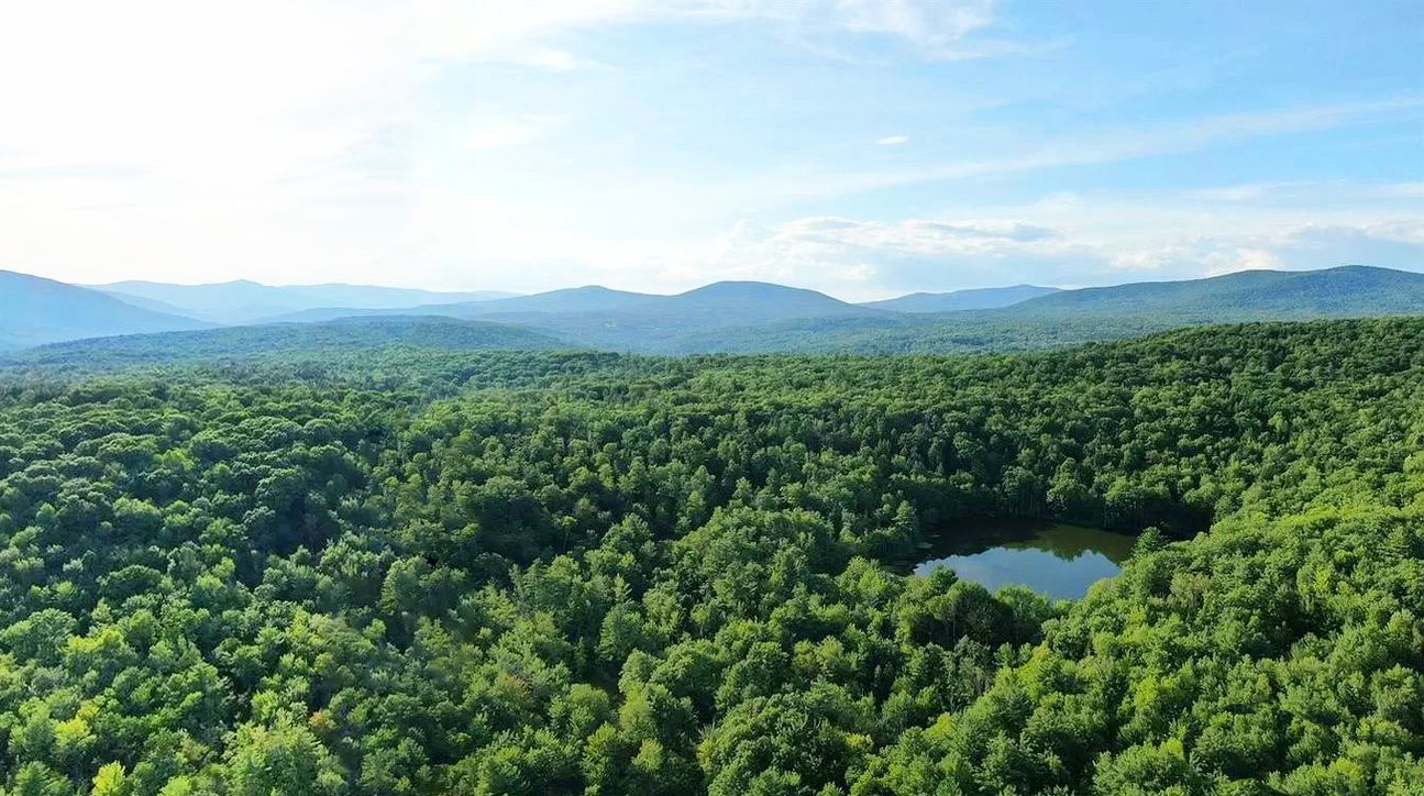 Hunter, Greene County, NY Recreational Property, Undeveloped Land, Lakefront Property
