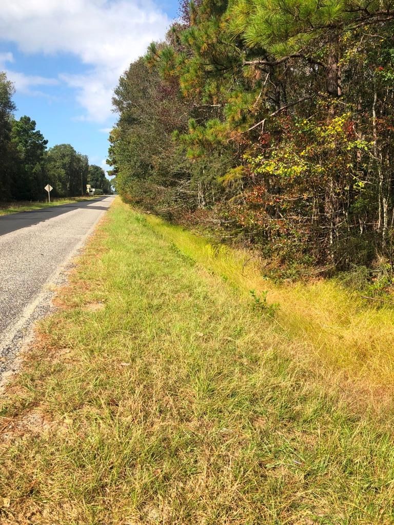 Pembroke, Bulloch County, GA Timberland Property, Commercial Property