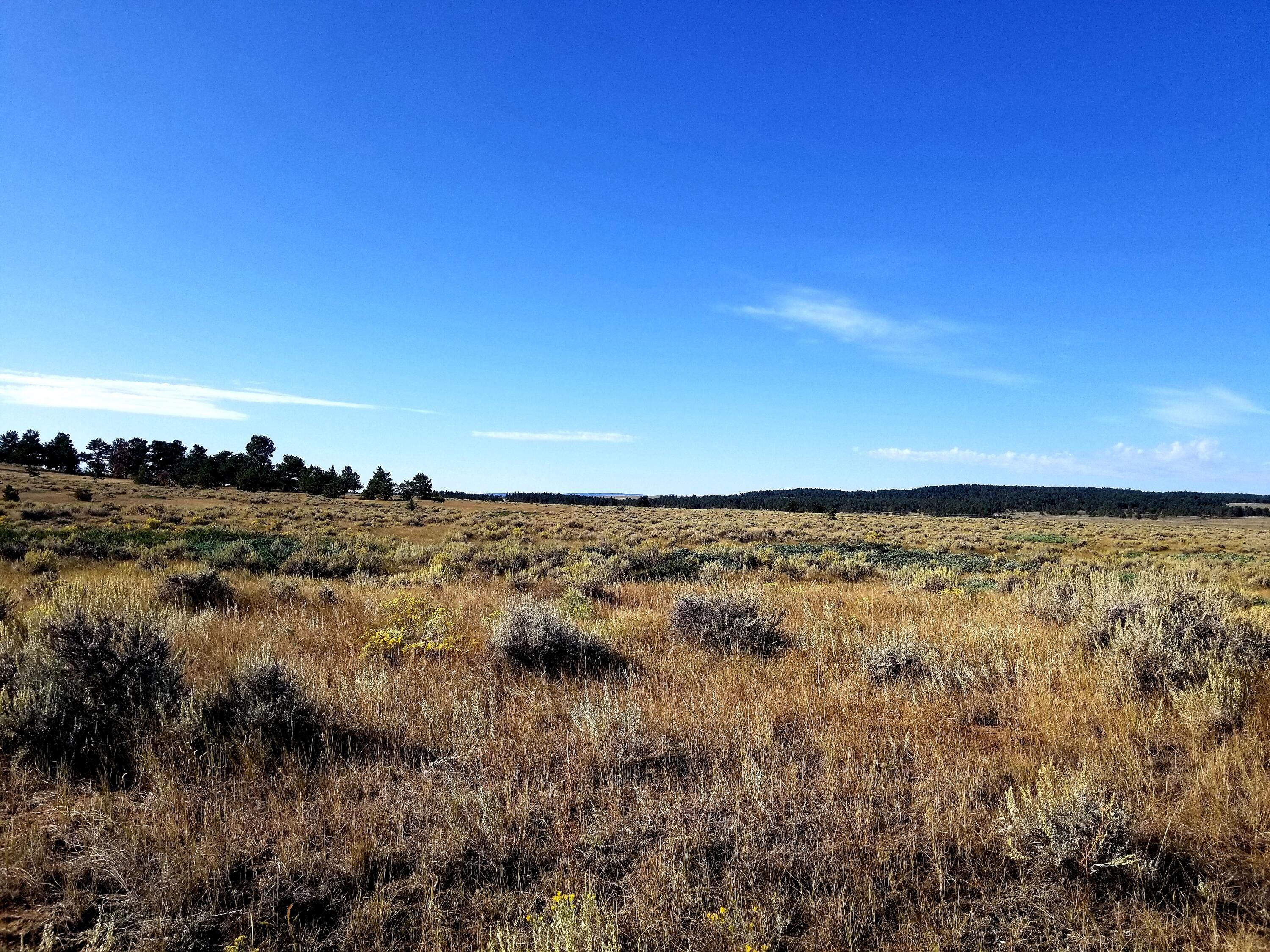 Grass Range, Fergus County, MT Undeveloped Land for sale Property ID