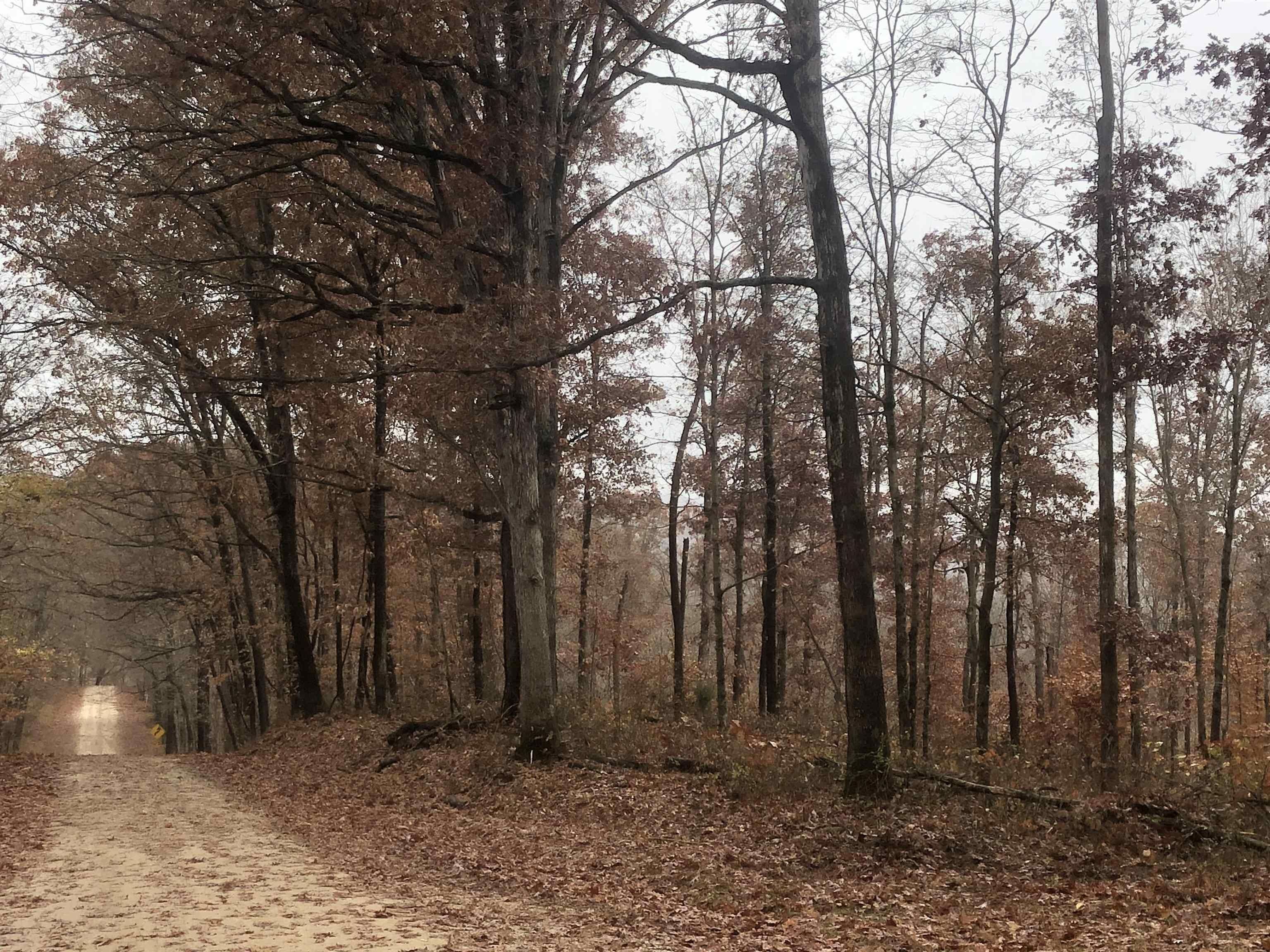 Shoals, Martin County, IN Undeveloped Land for sale Property ID