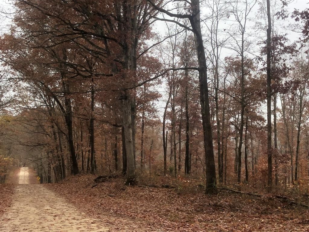 Shoals, Martin County, IN Undeveloped Land for sale Property ID