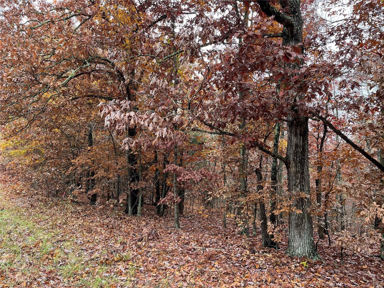 Marble Hill, Bollinger County, MO Farms and Ranches for sale Property