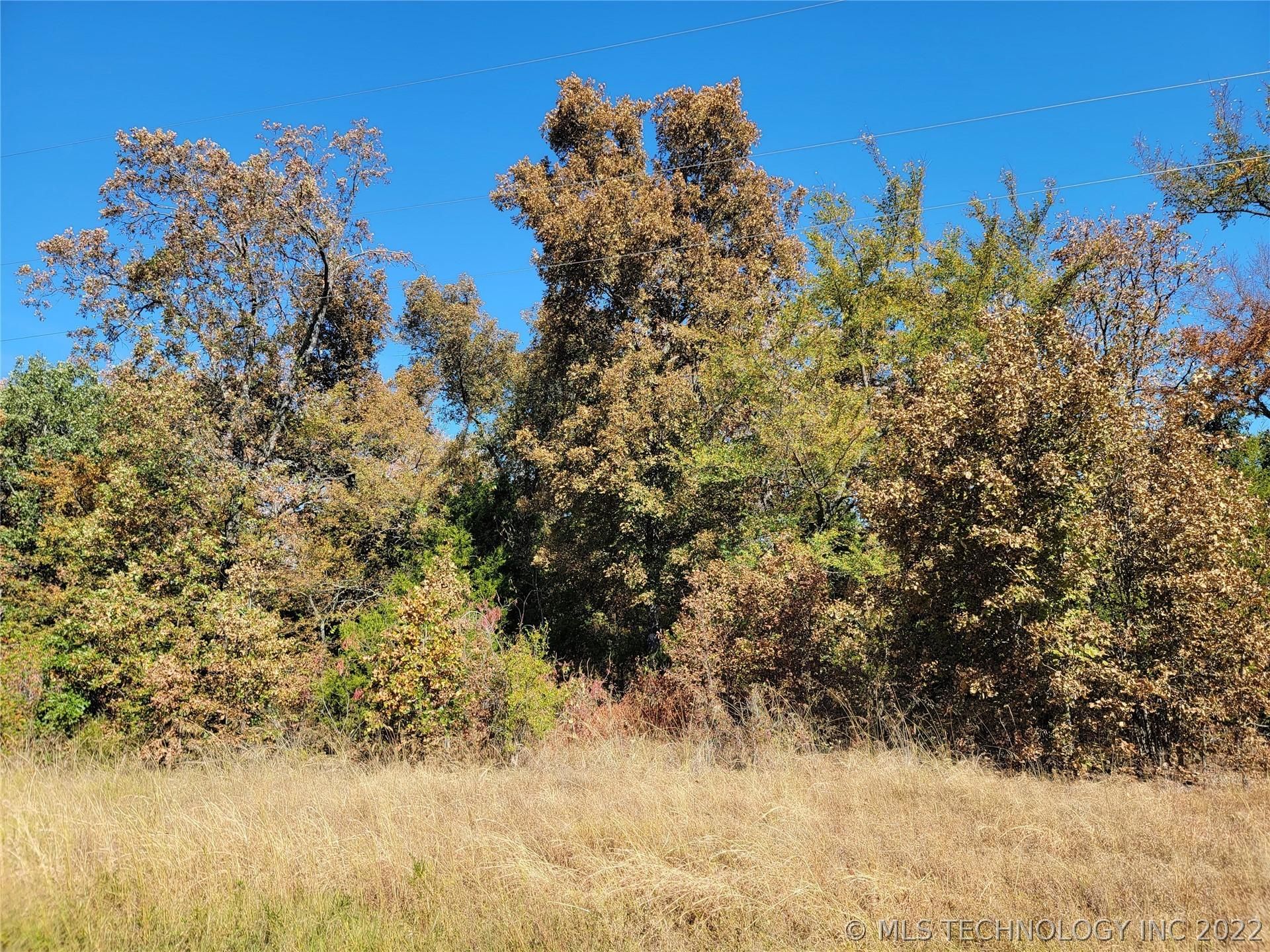Vian, Sequoyah County, OK for sale Property ID 415191209 LandWatch