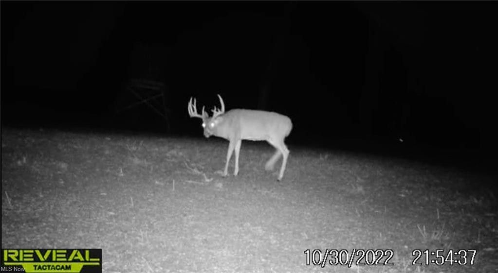 Warsaw, Coshocton County, OH Undeveloped Land for sale Property ID