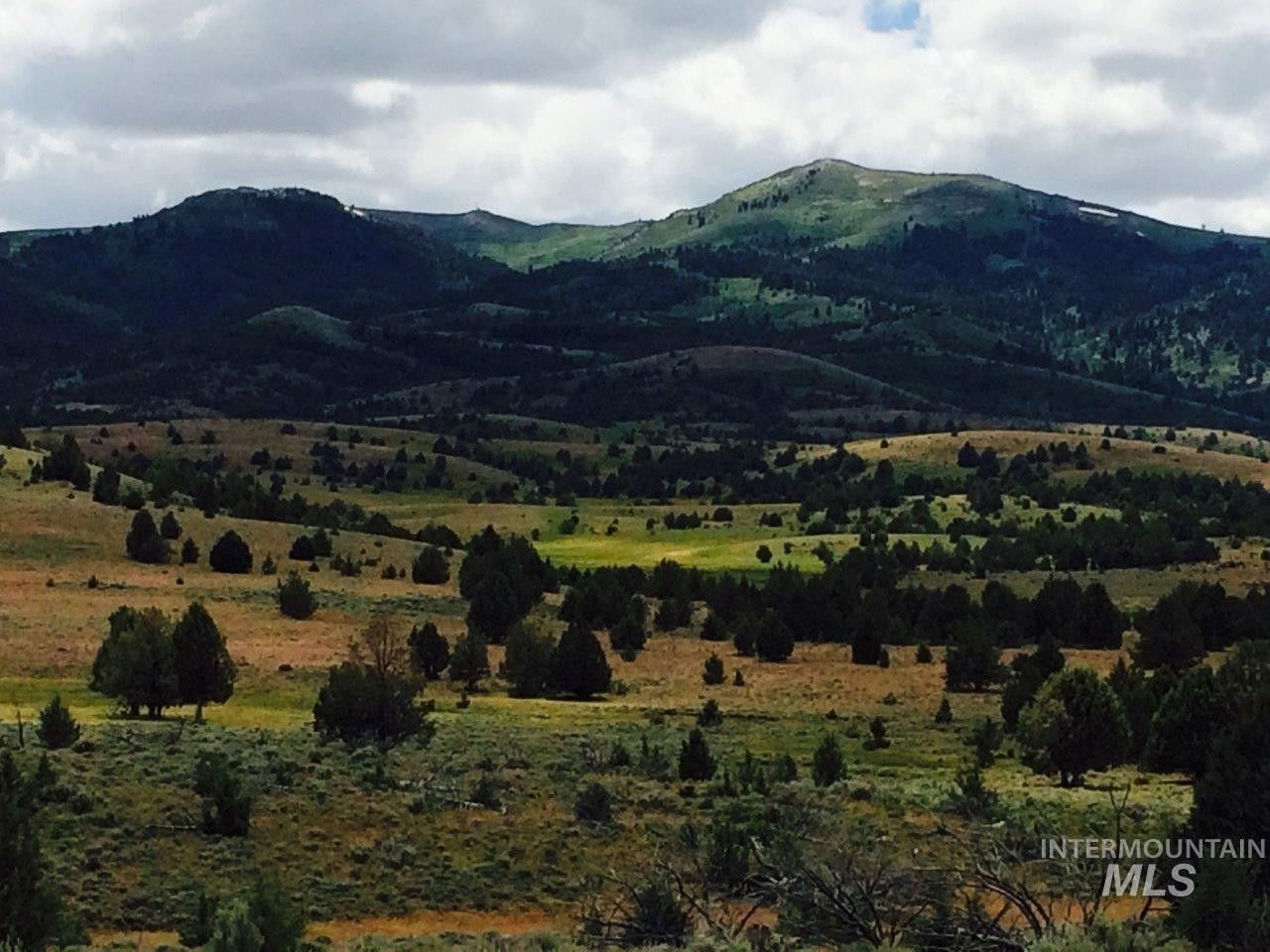 Murphy, Owyhee County, ID Undeveloped Land for sale Property ID