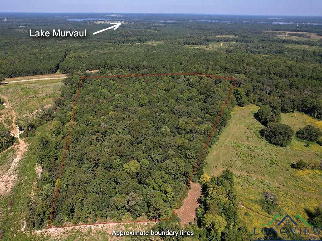 Carthage, Panola County, TX Undeveloped Land for sale Property ID