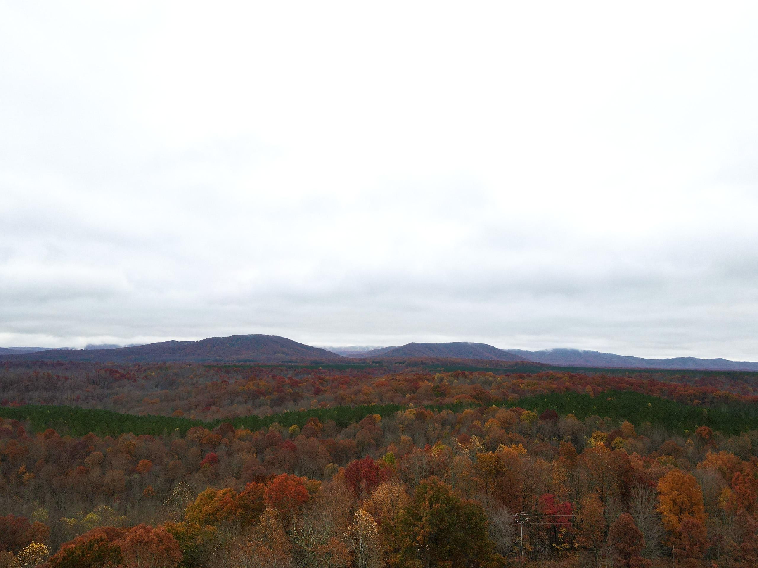 Union Hill Road, Sunbright, TN 37872 LandWatch