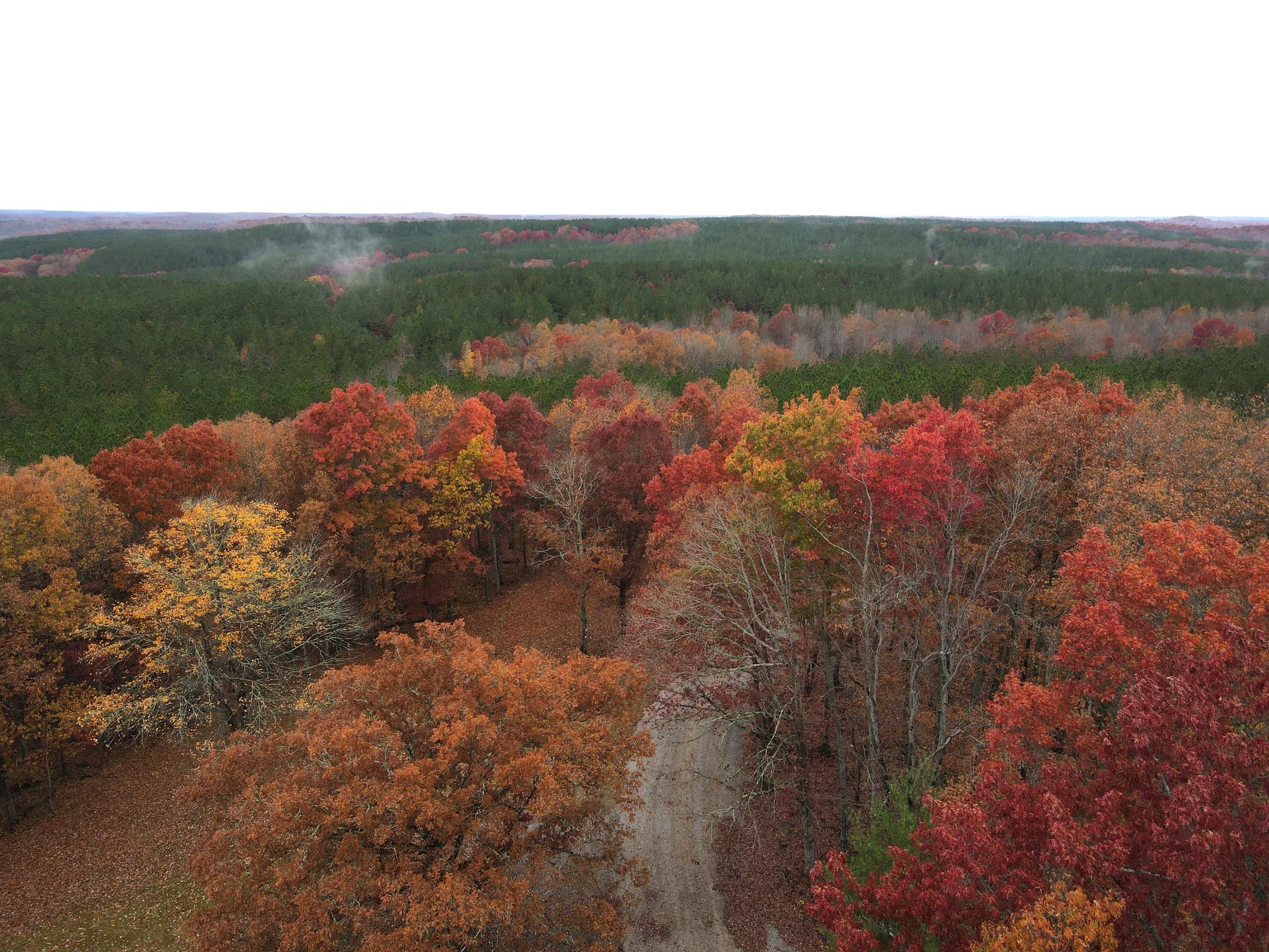 Sunbright, Scott County, TN Farms and Ranches, Recreational Property